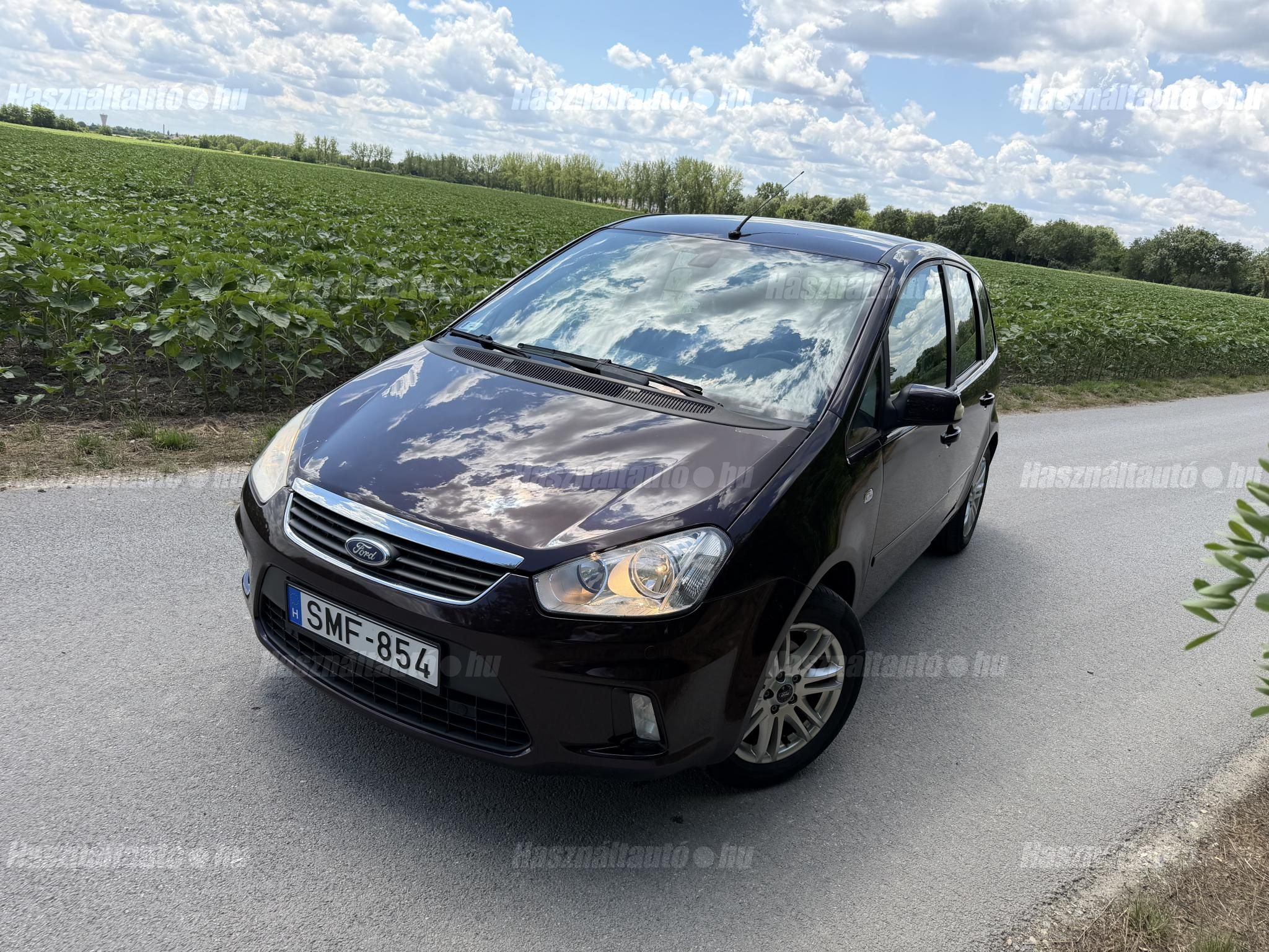FORD C-MAX 2008/10 - 1