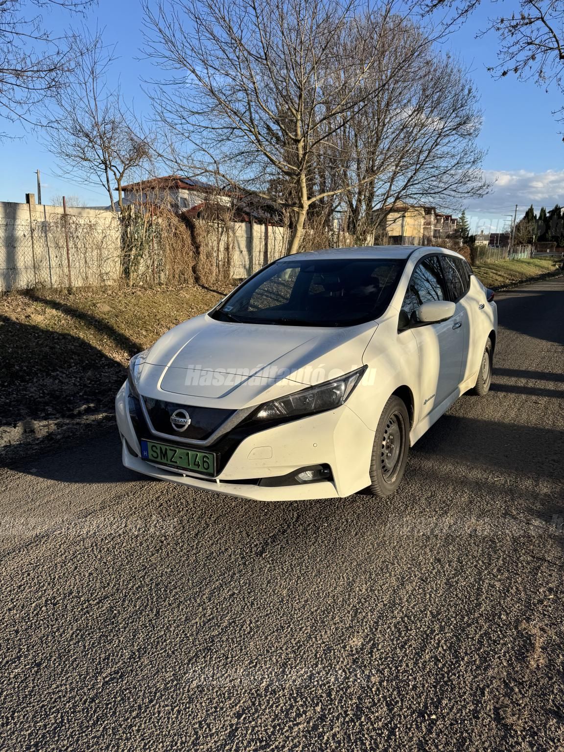 NISSAN LEAF 2019 - 1