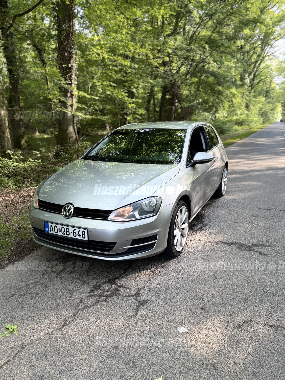 VOLKSWAGEN GOLF VII 2013/6 - 1