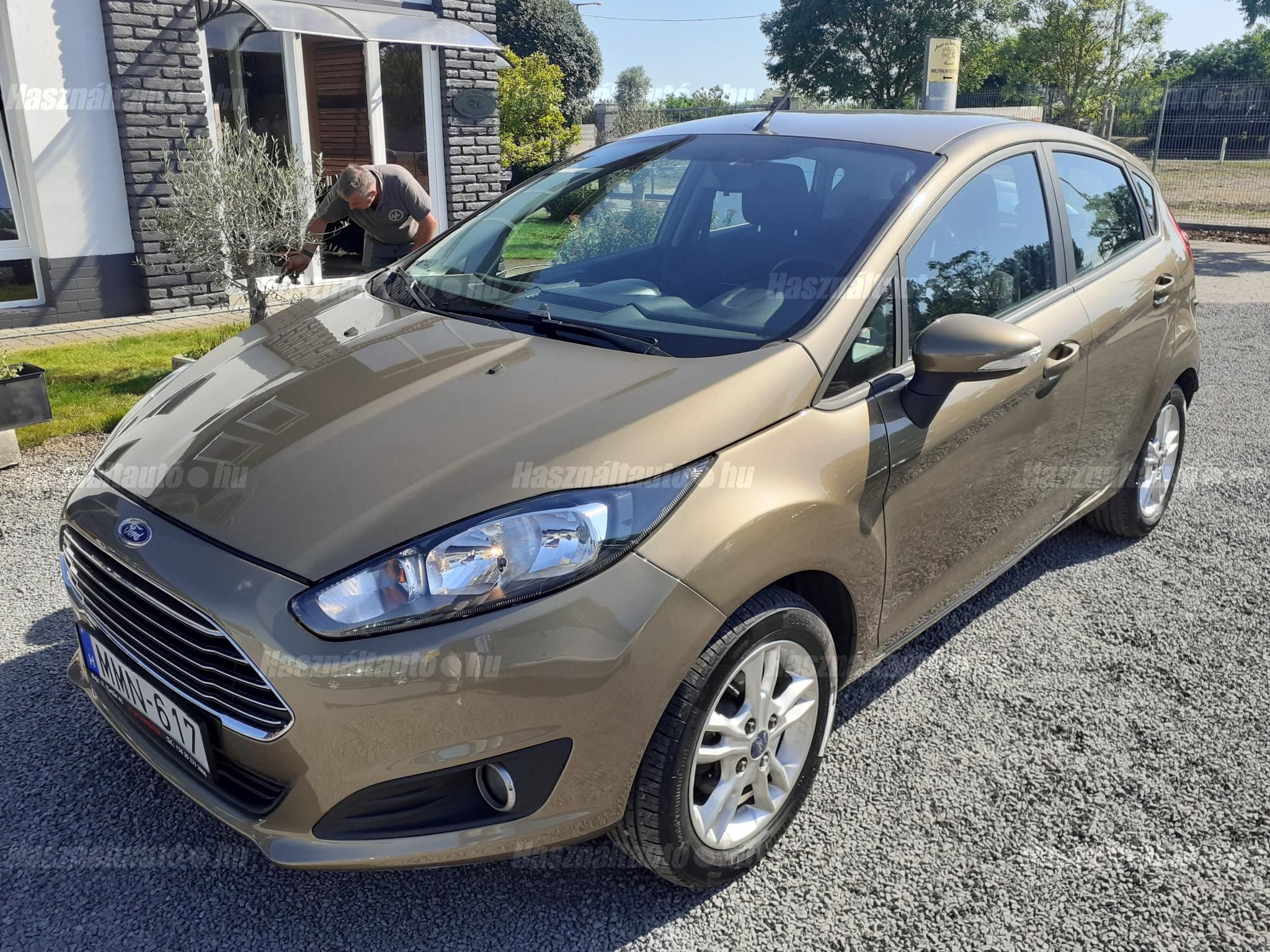 FORD FIESTA 2013/9 - 1