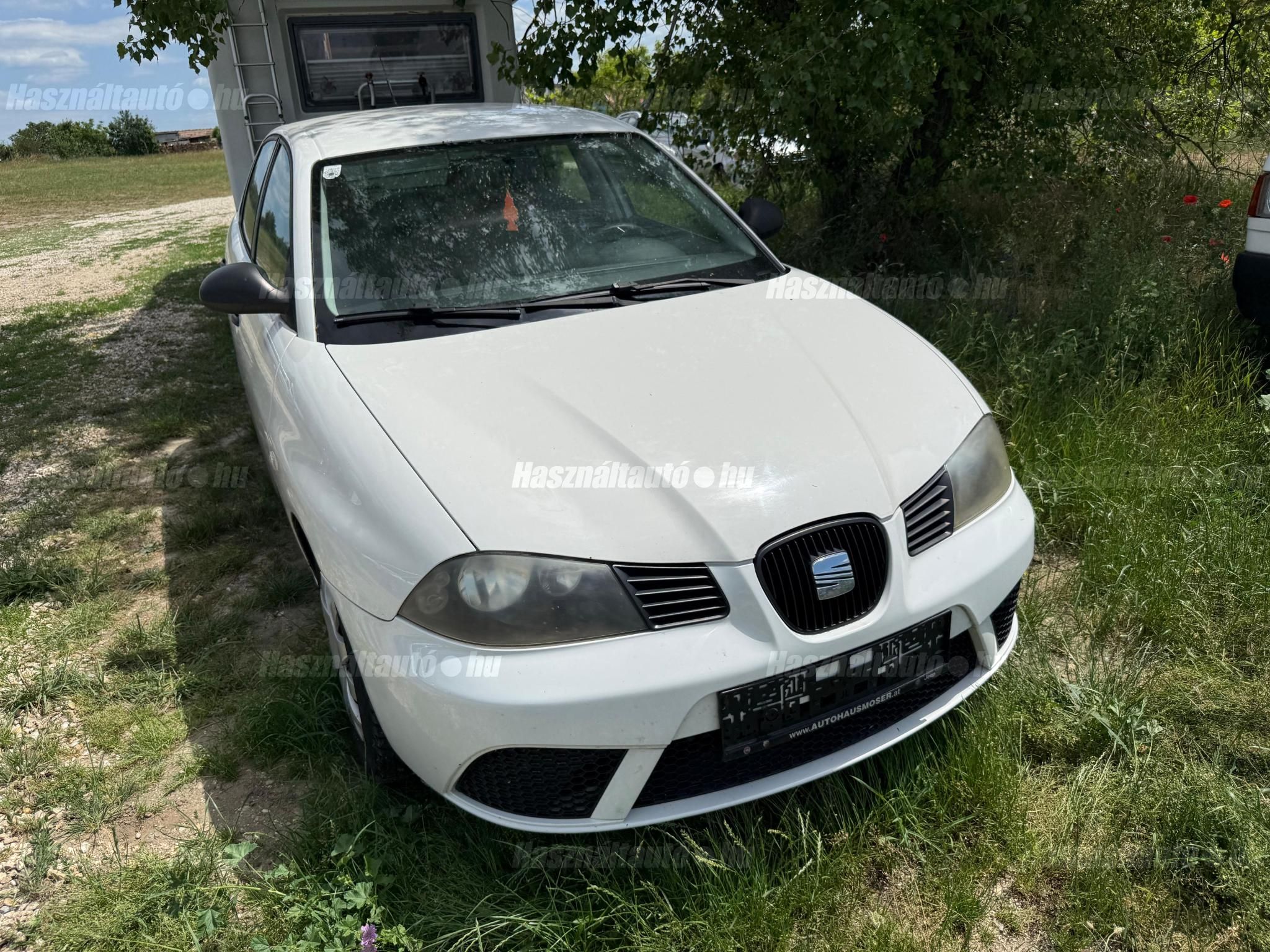 SEAT IBIZA 2008/10 - 1