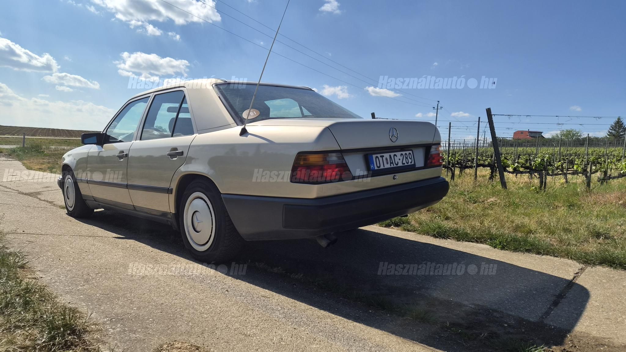 MERCEDES-BENZ W 124 1989/1 - 1