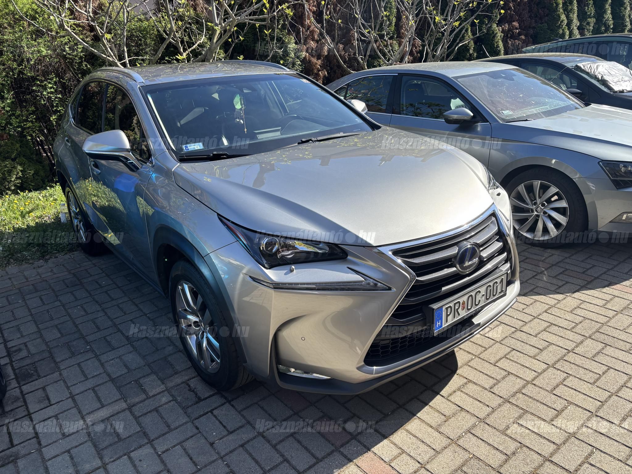 LEXUS NX 2017/10 - 1