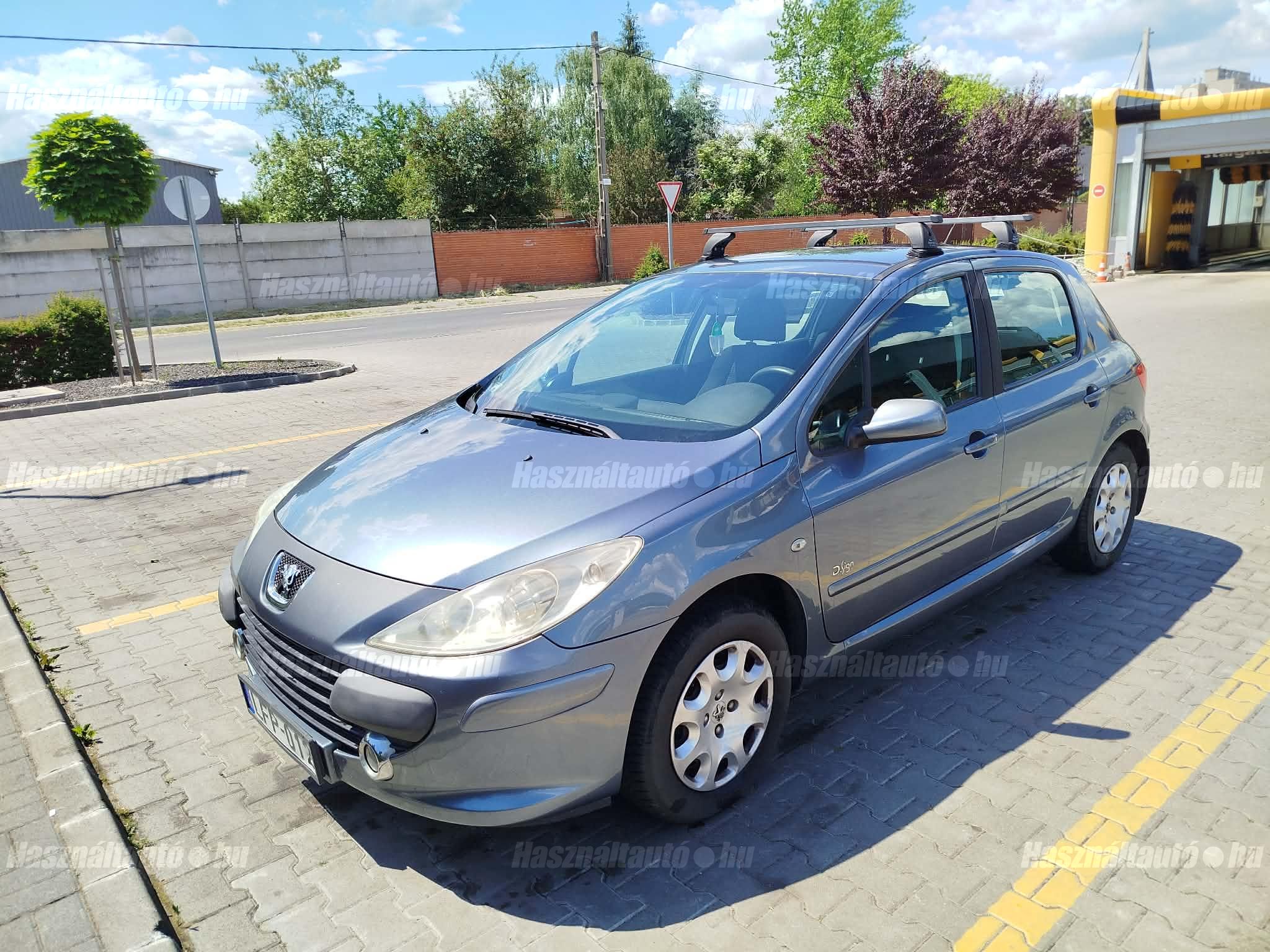 PEUGEOT 307 2007 - 1