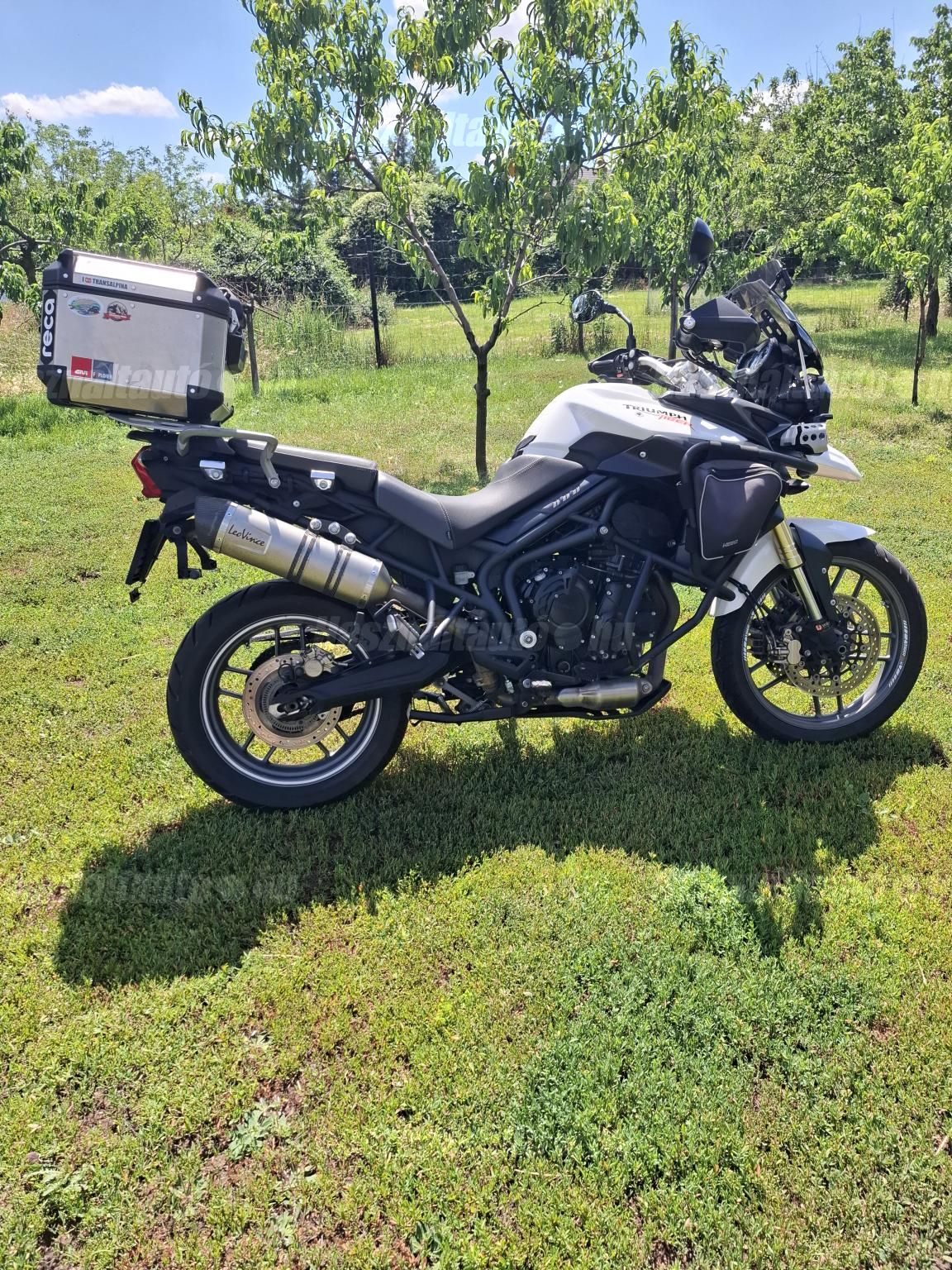 TRIUMPH TIGER 800 2012/2 - 1