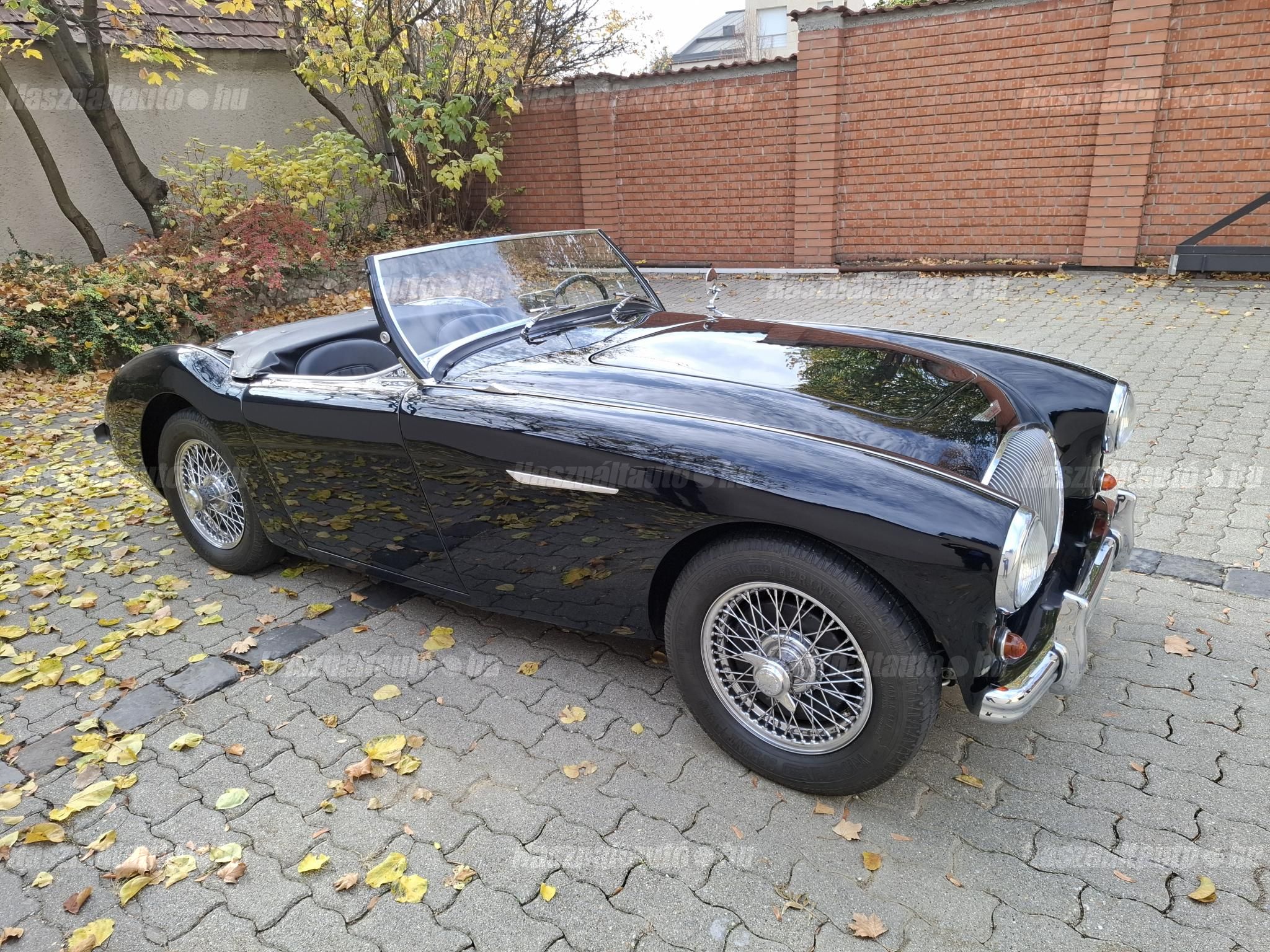 AUSTIN-HEALEY 100 1956 - 1