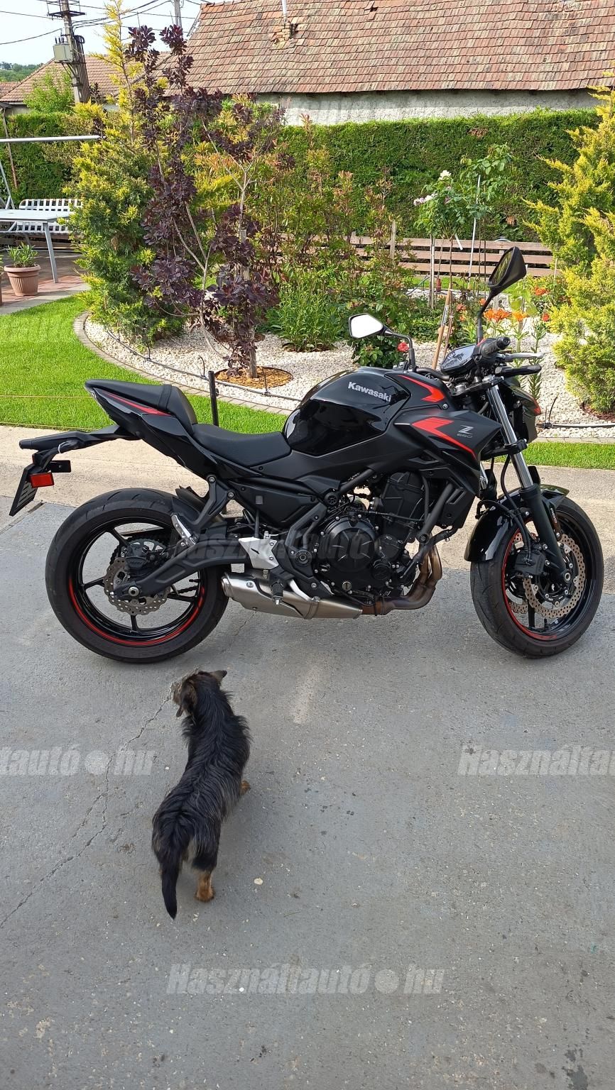 KAWASAKI Z 650 2023 - 1