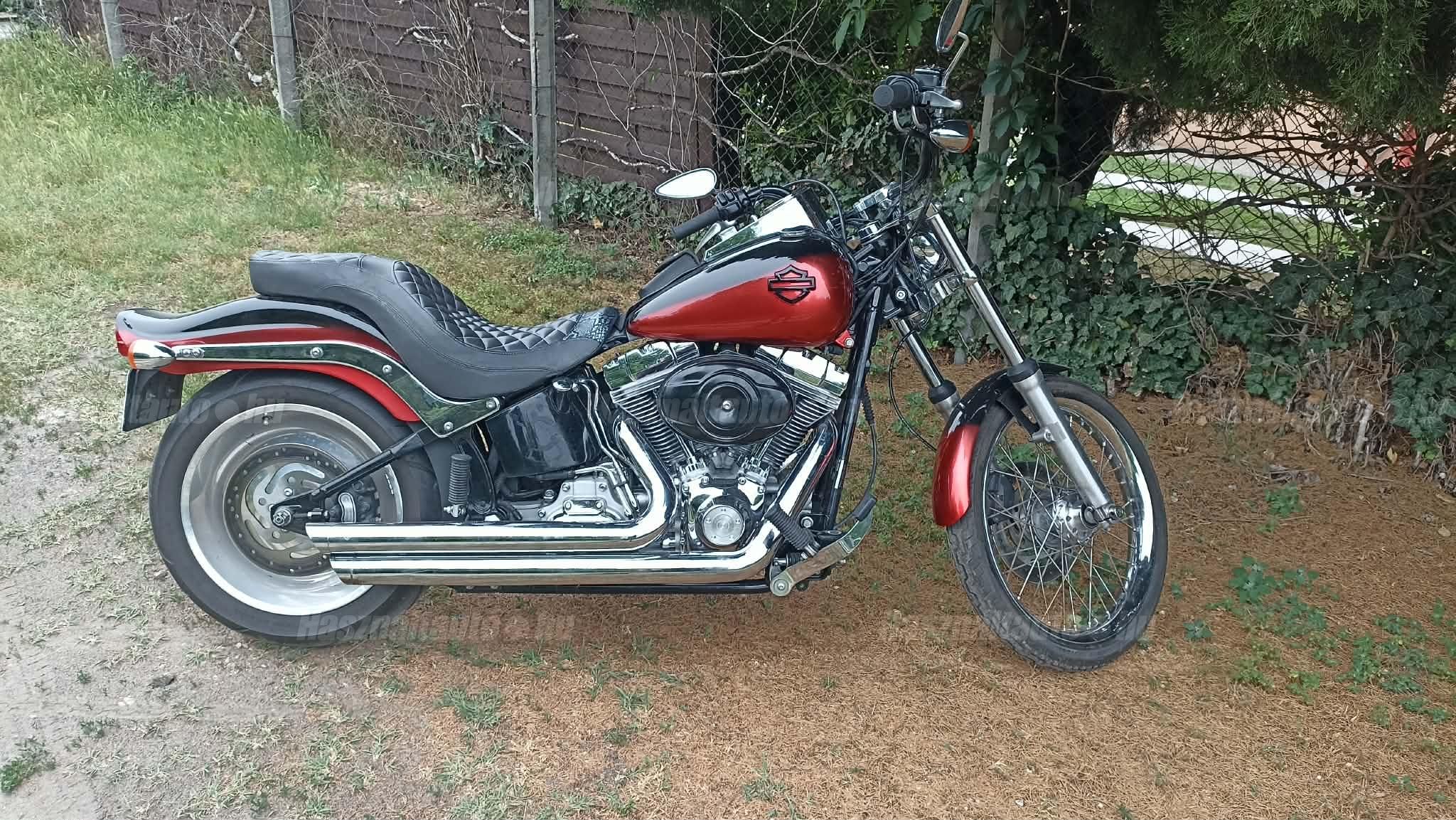 HARLEY-DAVIDSON SOFTAIL 2007/4 - 1