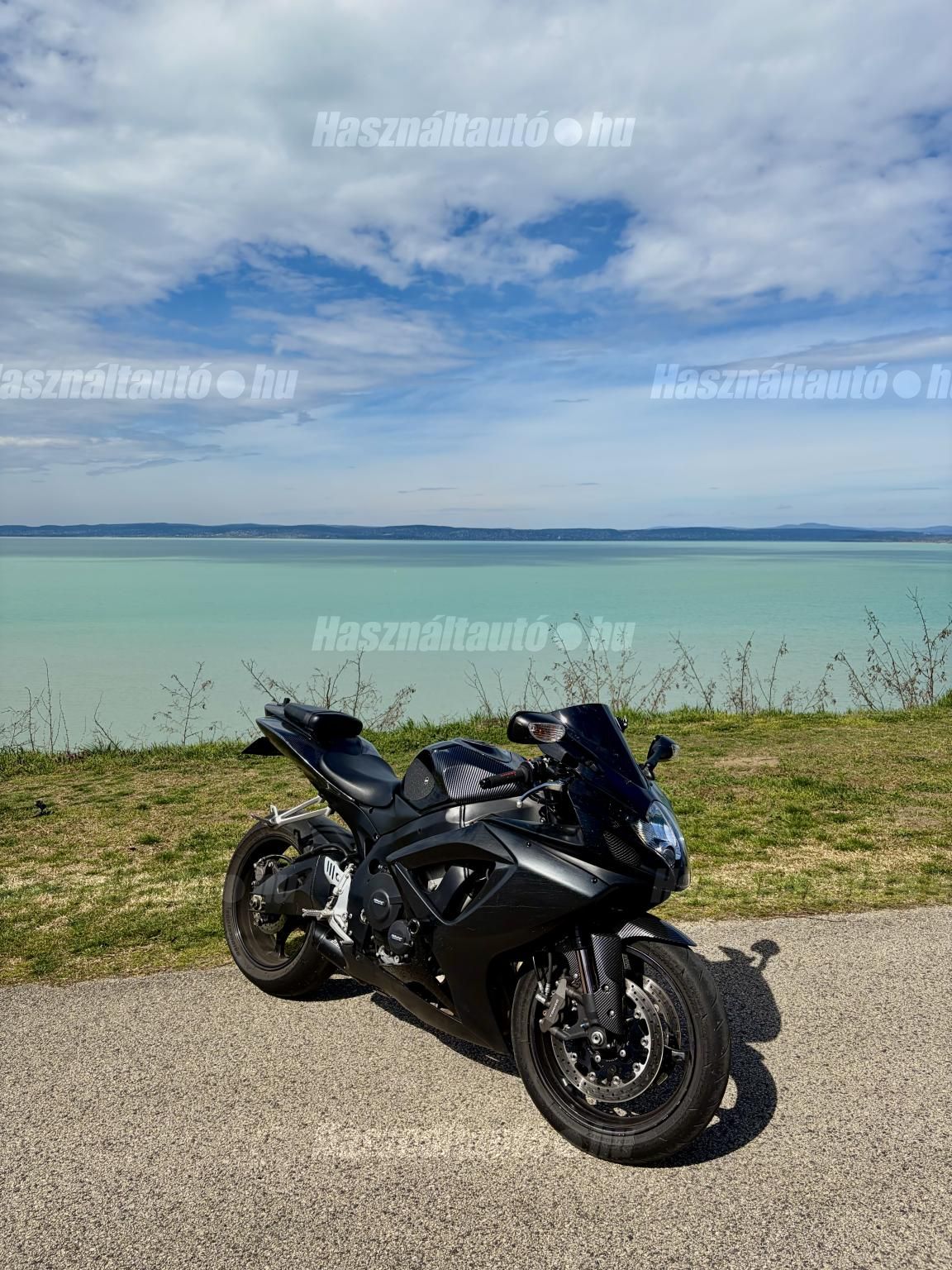 SUZUKI GSX-R 750 2008/5 - 1