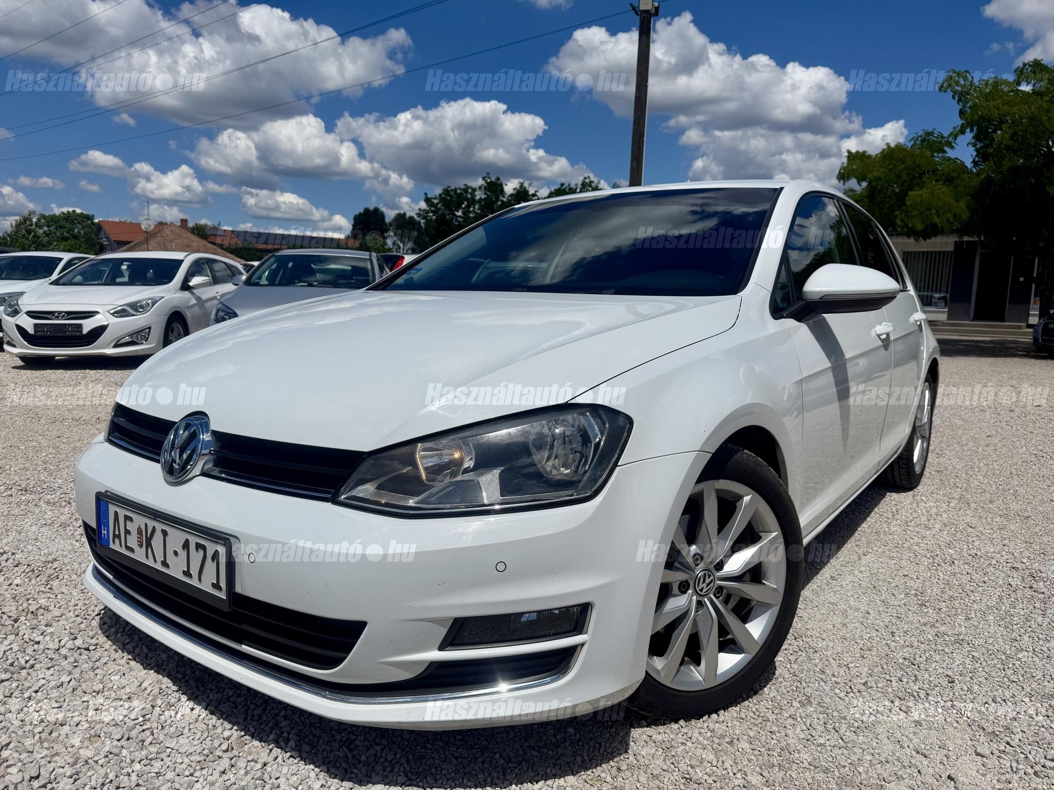 VOLKSWAGEN GOLF VII 2013/6 - 1