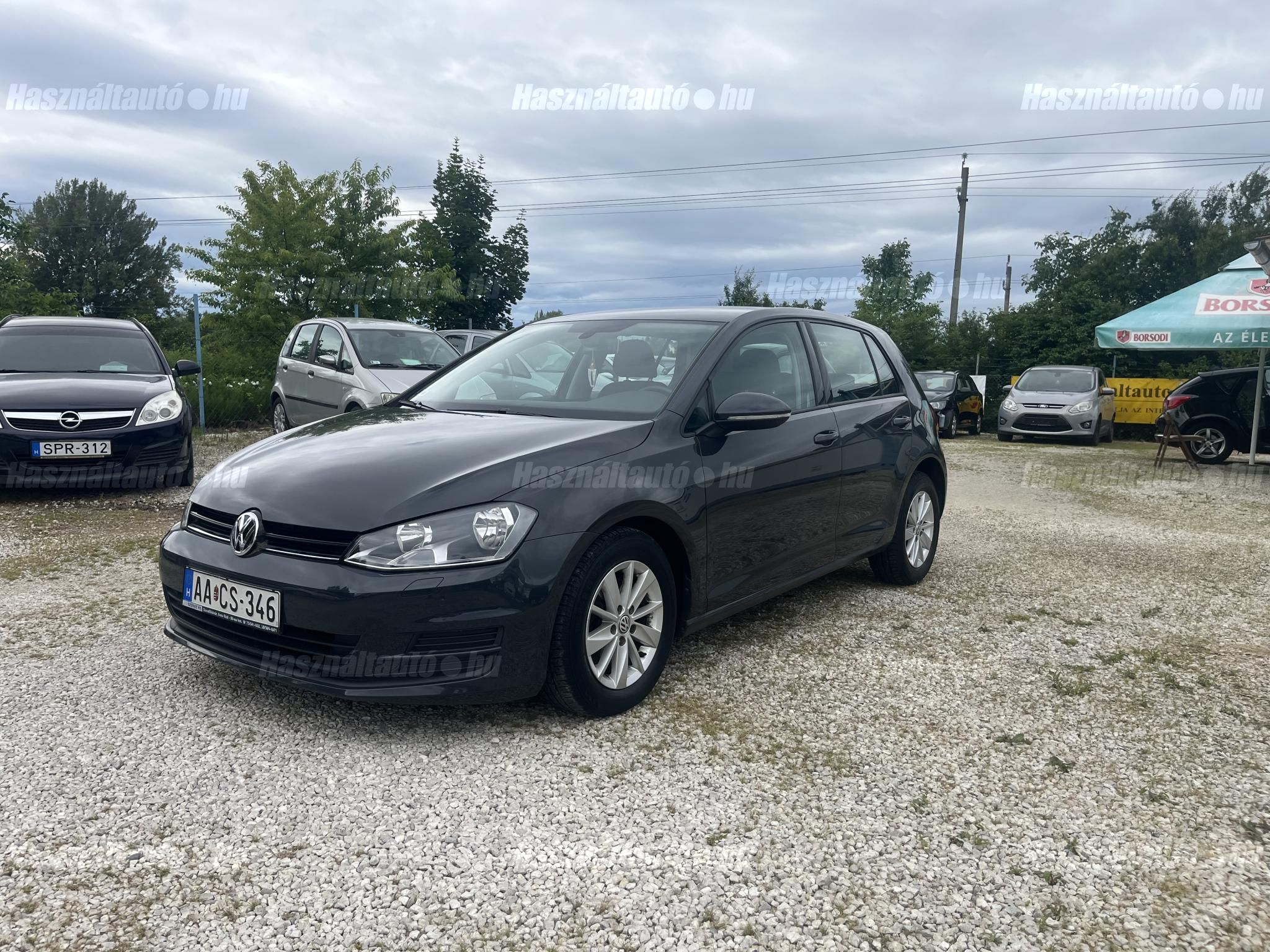 VOLKSWAGEN GOLF VII 2013/6 - 1