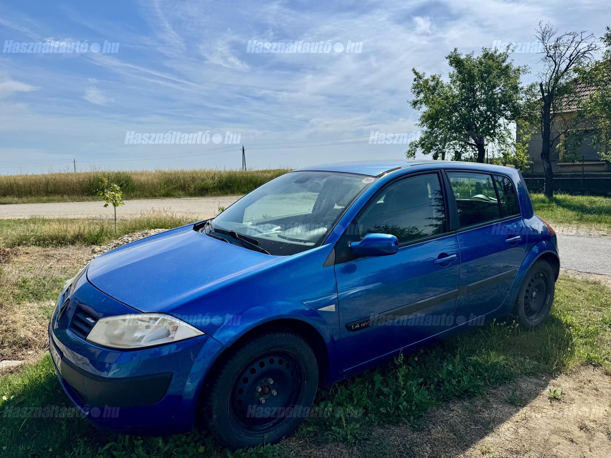 RENAULT MEGANE 2003 - 1