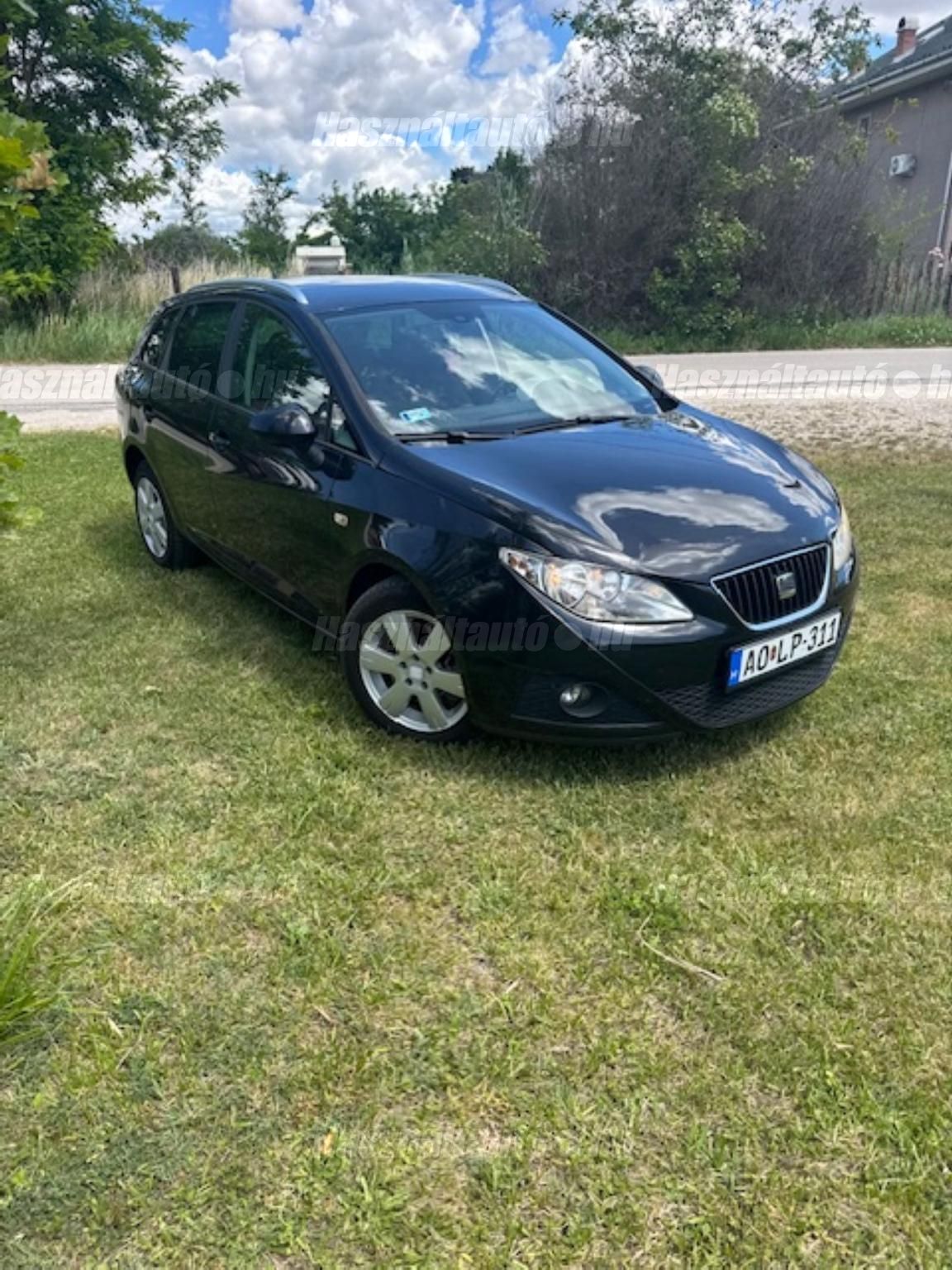 SEAT IBIZA 2010/1 - 1