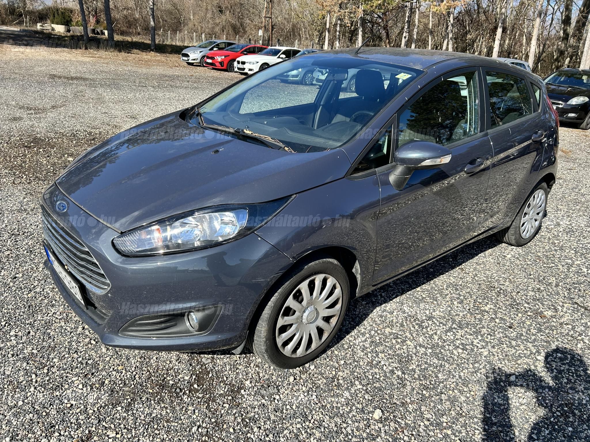 FORD FIESTA 2014/4 - 1