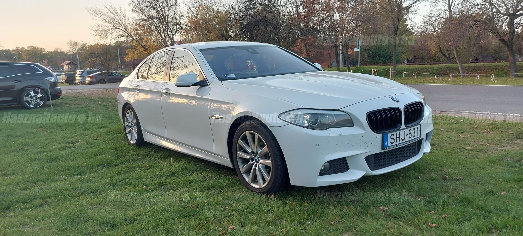 BMW 520 2012 - 1