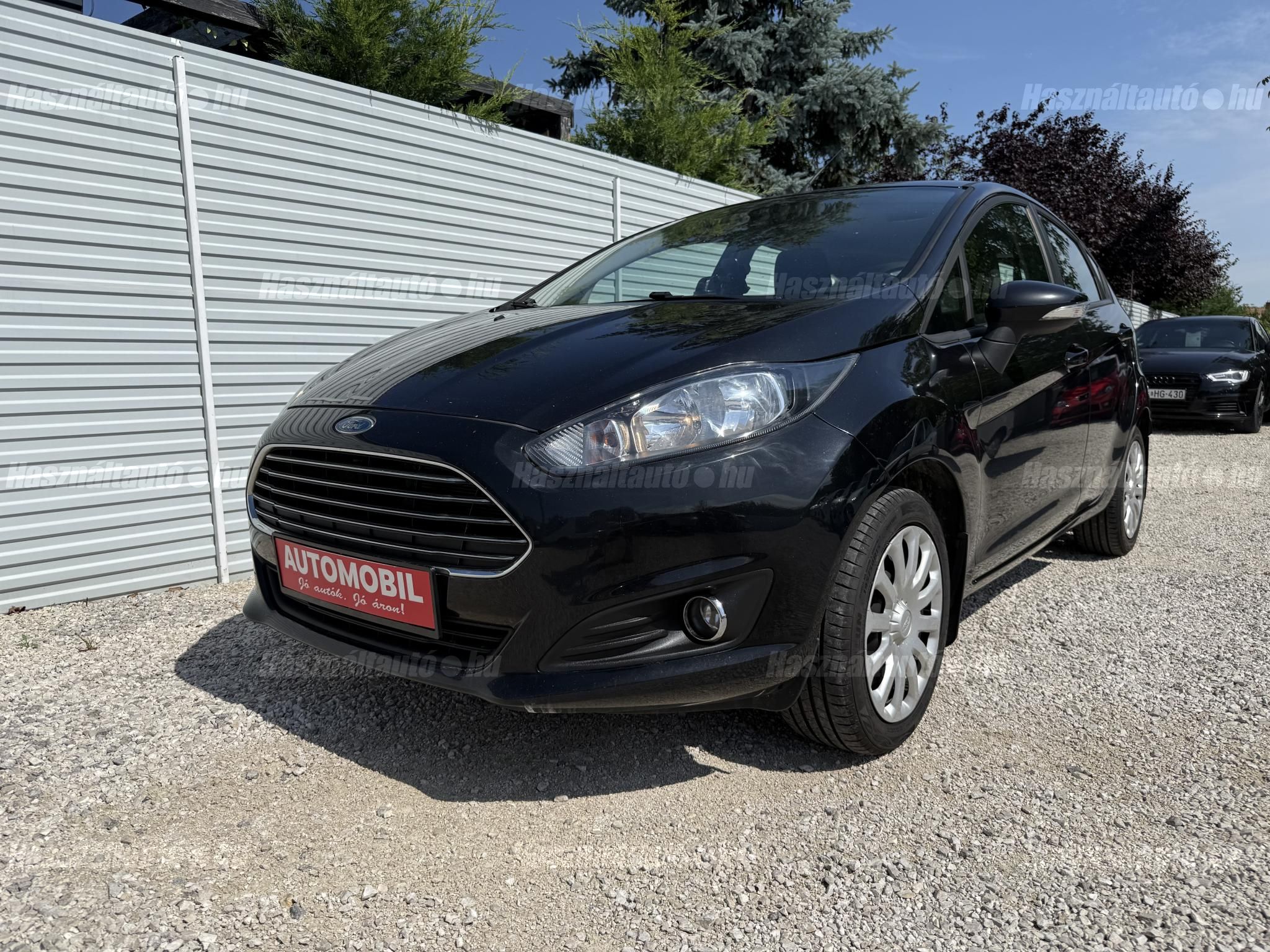 FORD FIESTA 2014/6 - 1