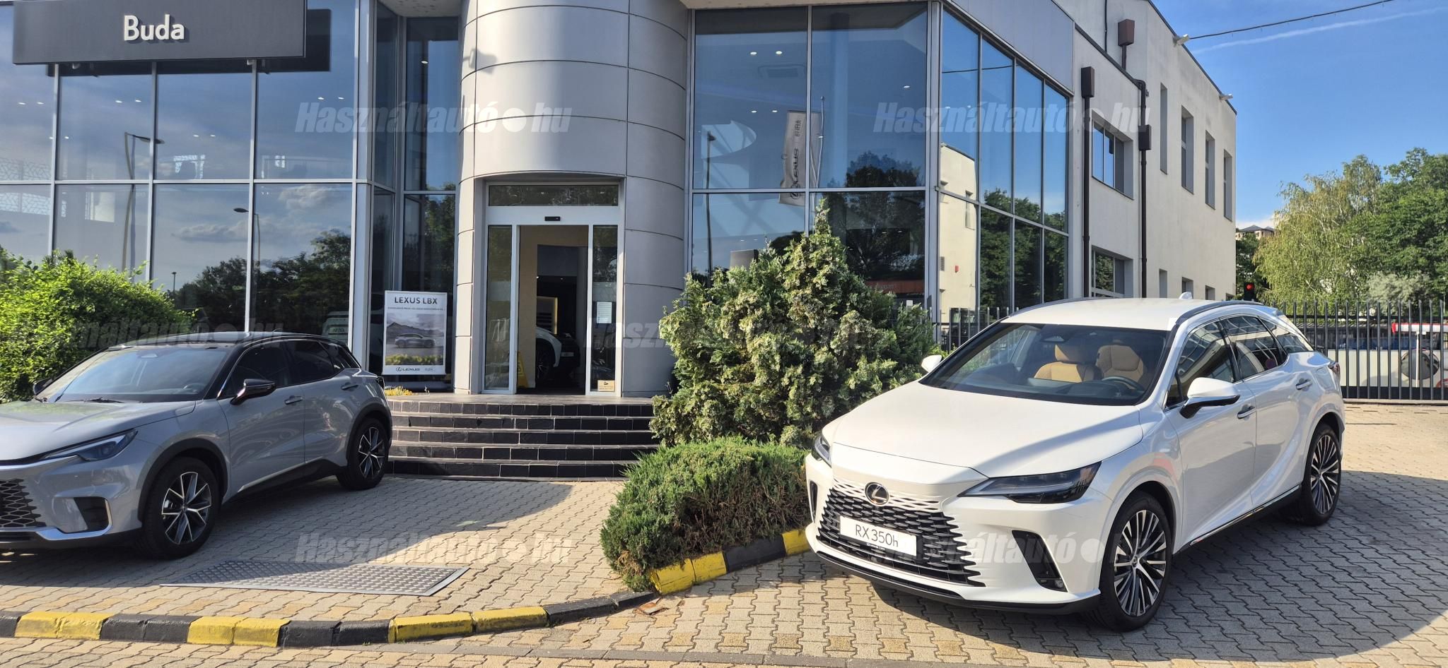 LEXUS RX 2025/10 - 1