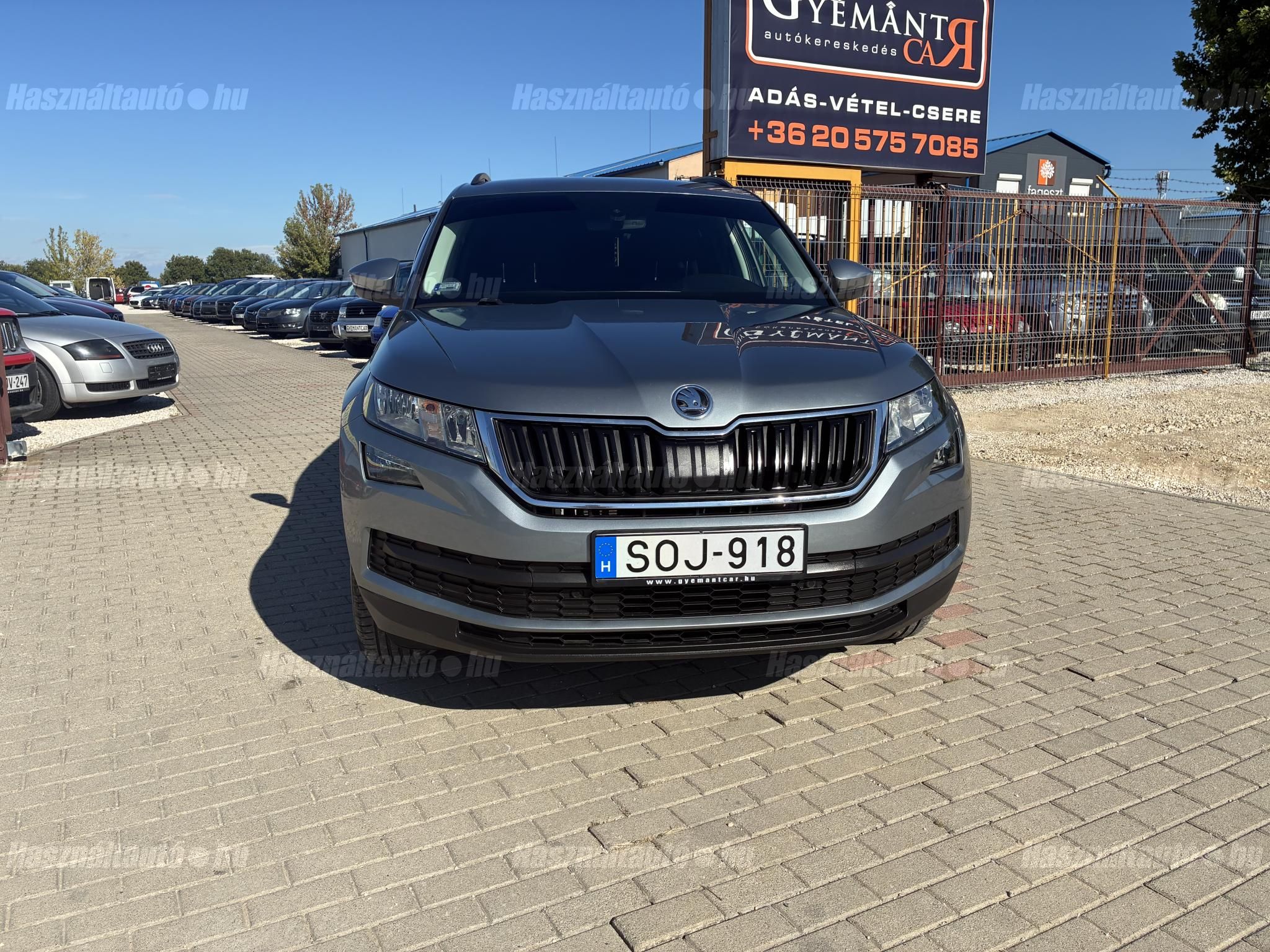 SKODA KODIAQ 2018/3 - 1