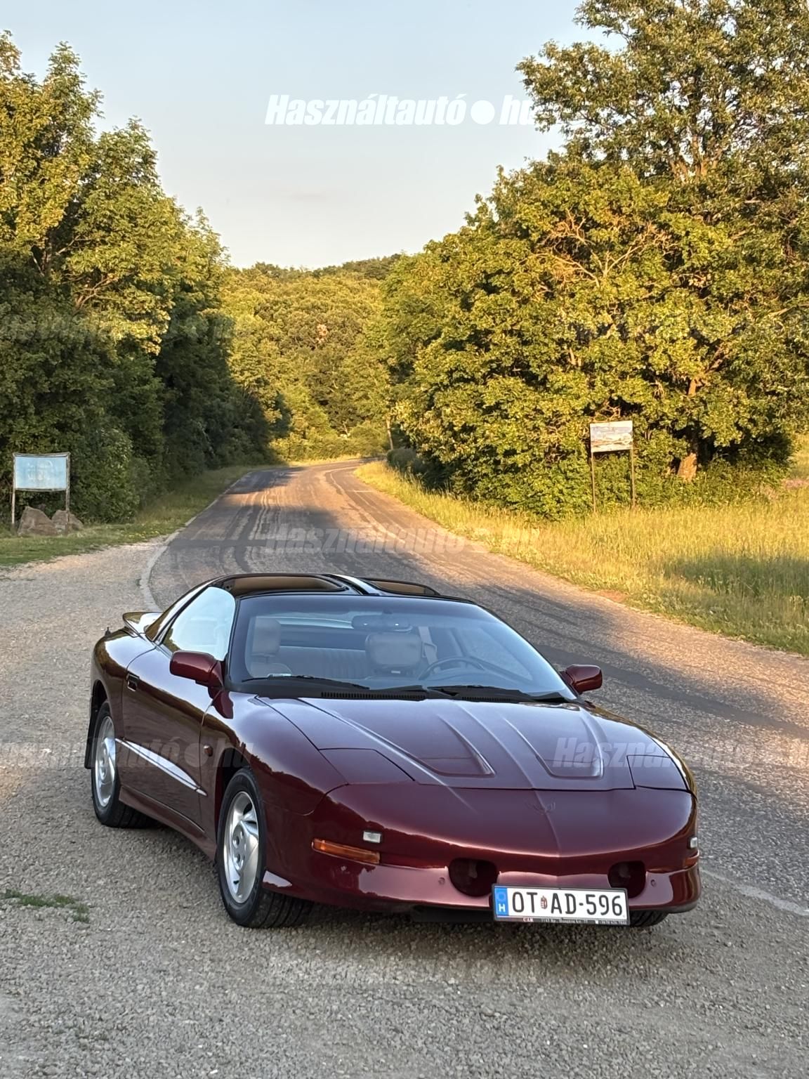 PONTIAC FIREBIRD 1995/10 - 1