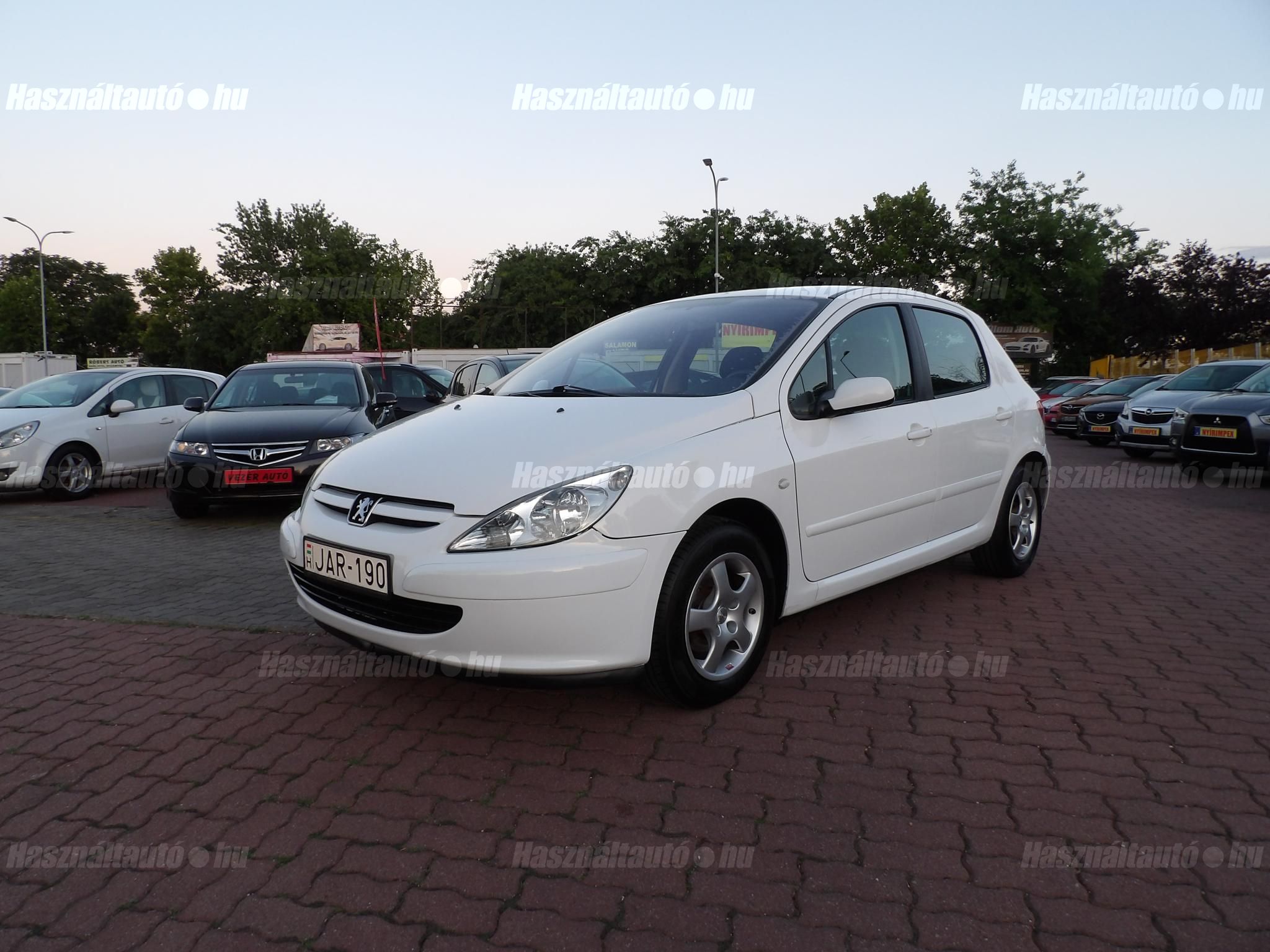 PEUGEOT 307 2004/3 - 1