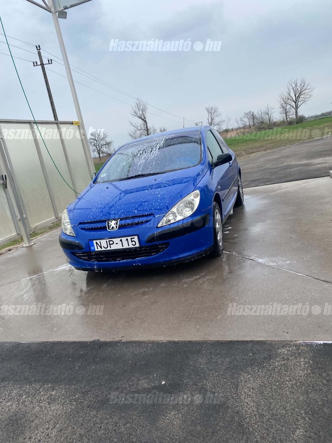 PEUGEOT 307 2002 - 1