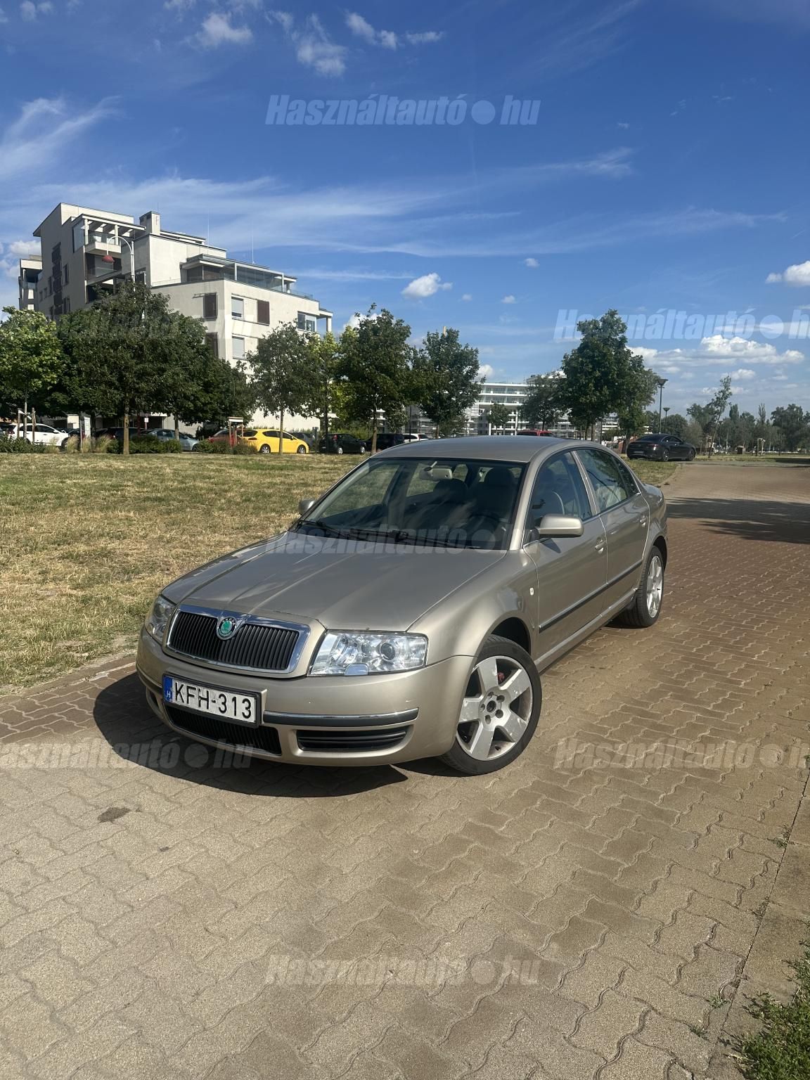 SKODA SUPERB 2006 - 1