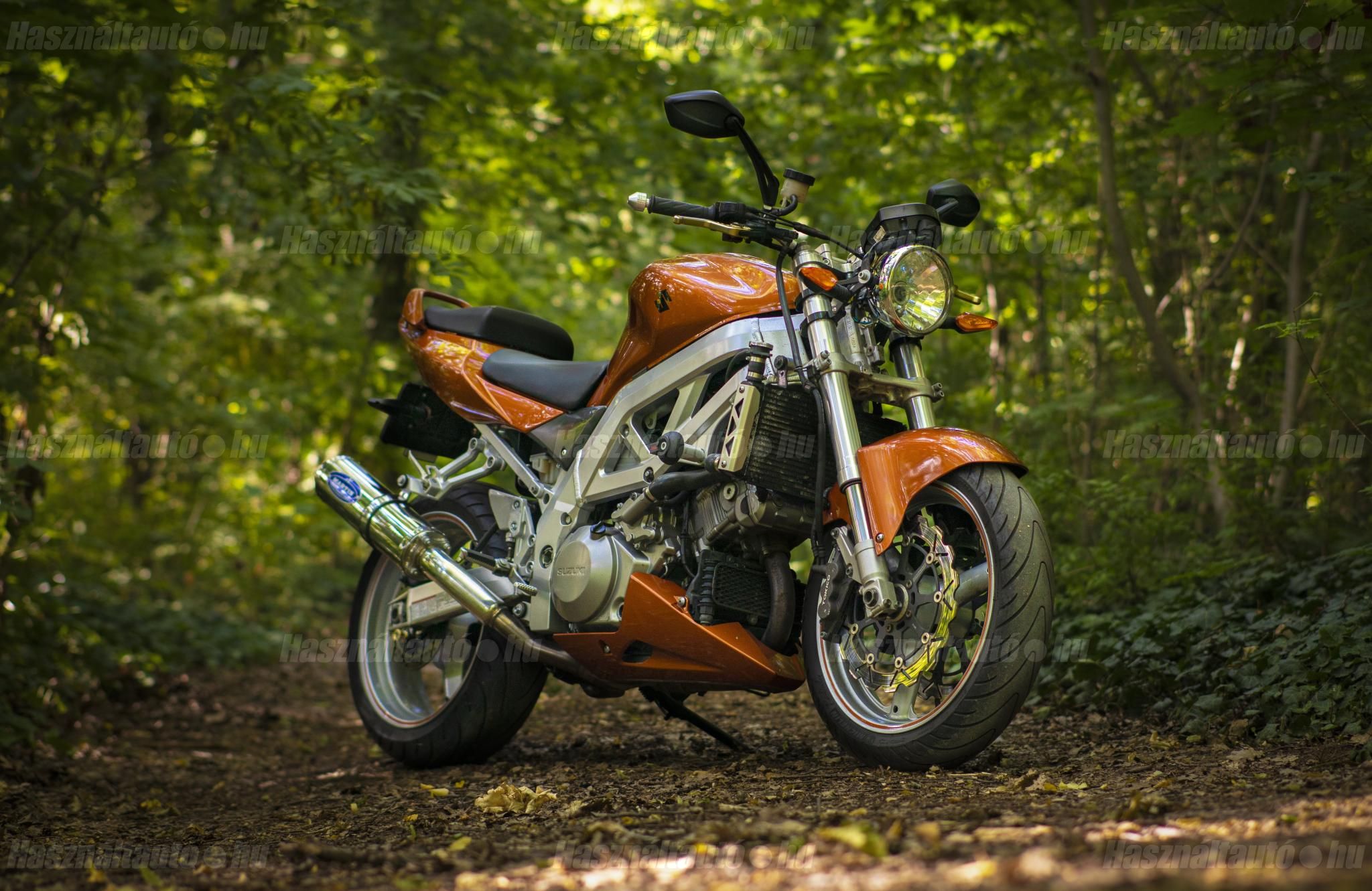 SUZUKI SV 1000 N 2003/10 - 1