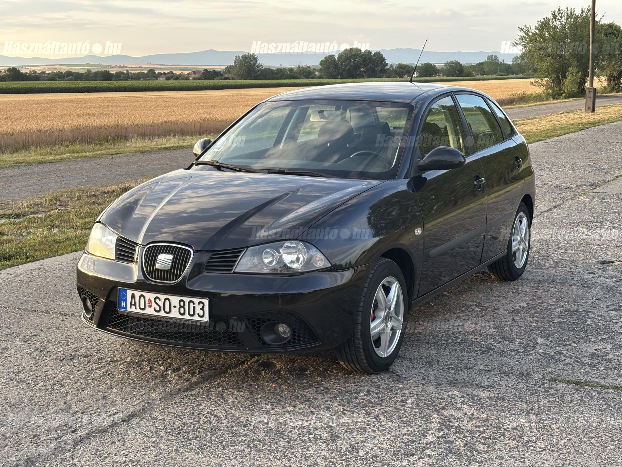 SEAT IBIZA 2008/6 - 1