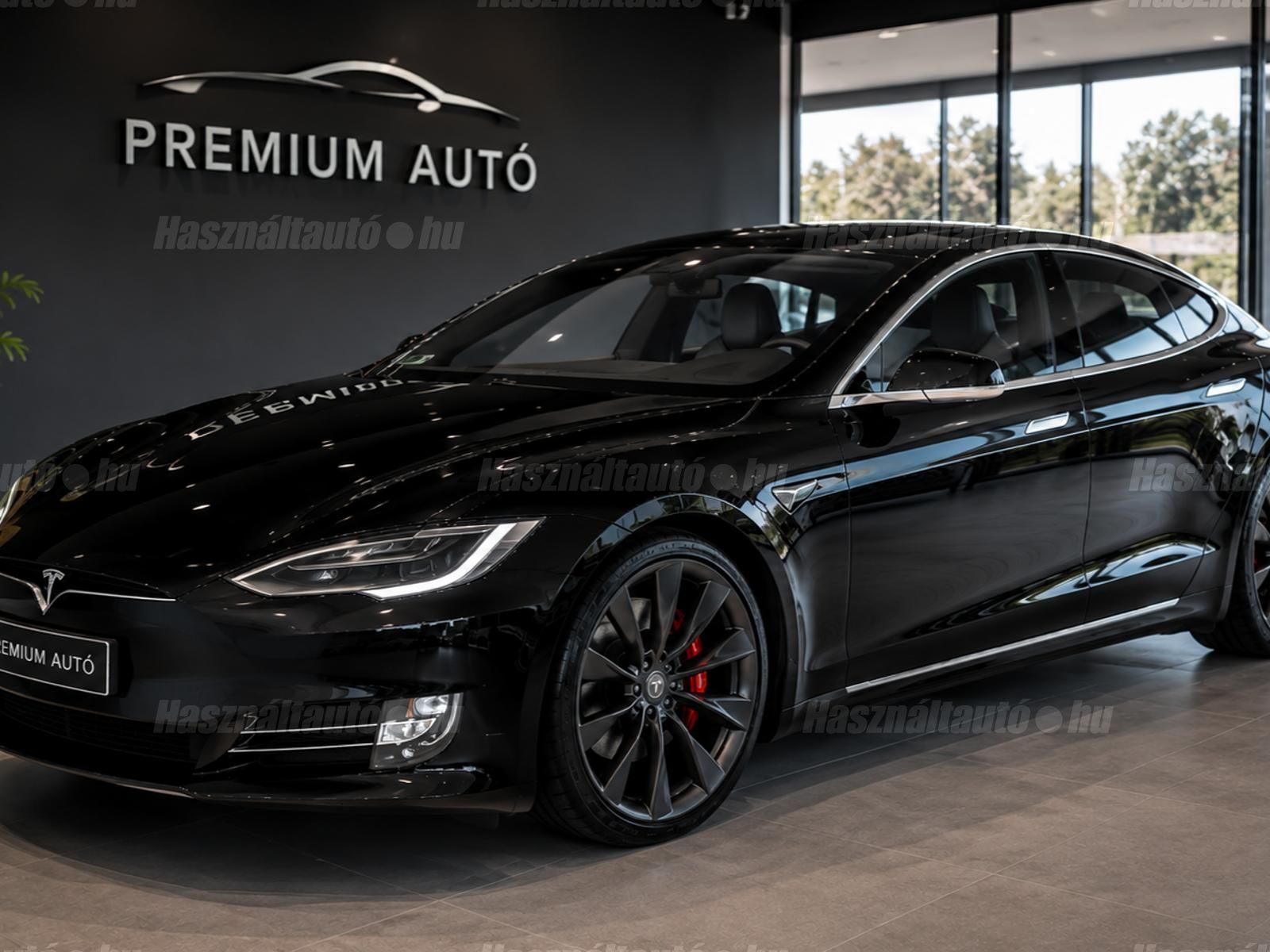 TESLA MODEL S 2019/7 - 1
