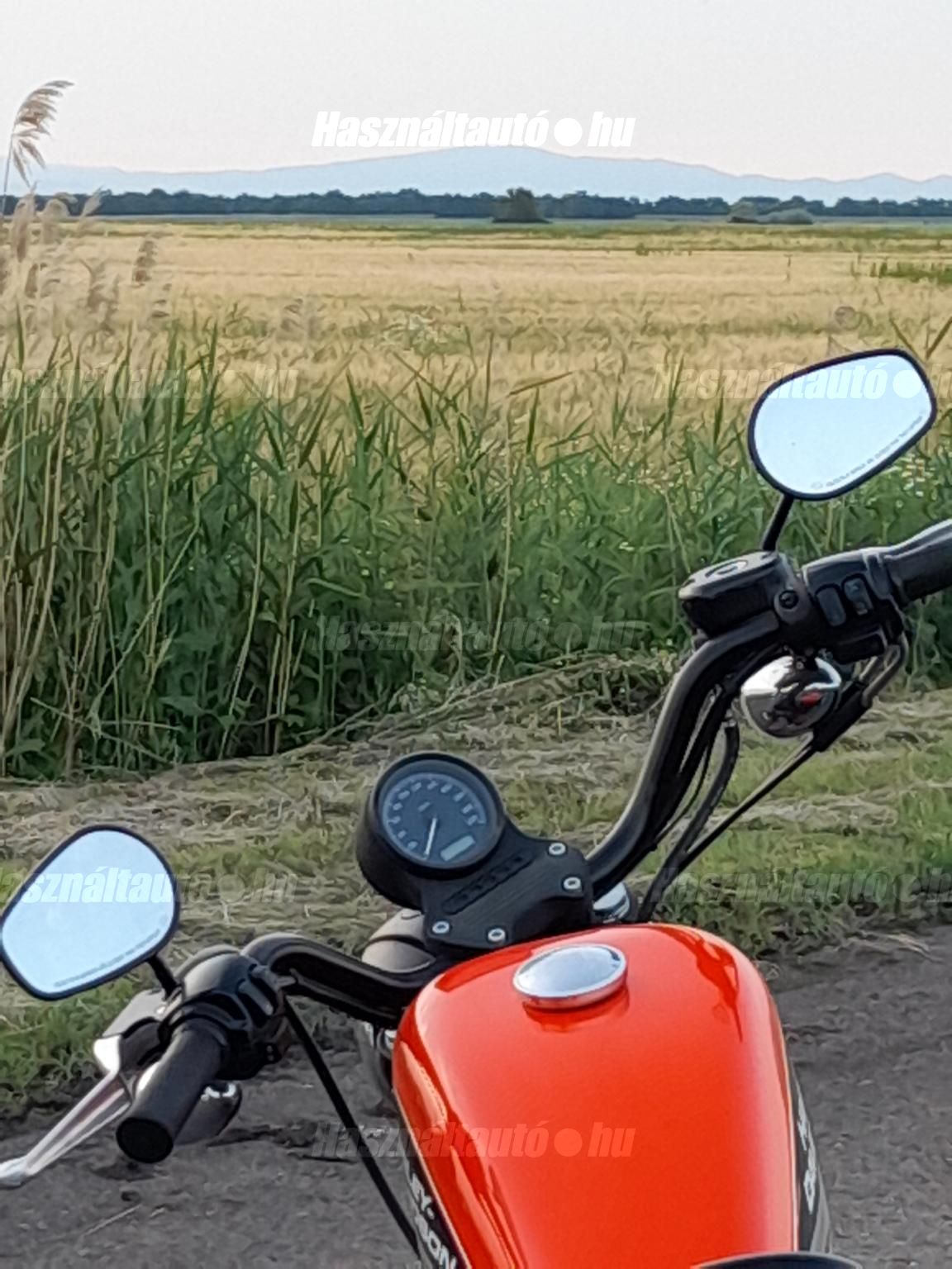 HARLEY-DAVIDSON SPORTSTER 883 R 2012/10 - 1