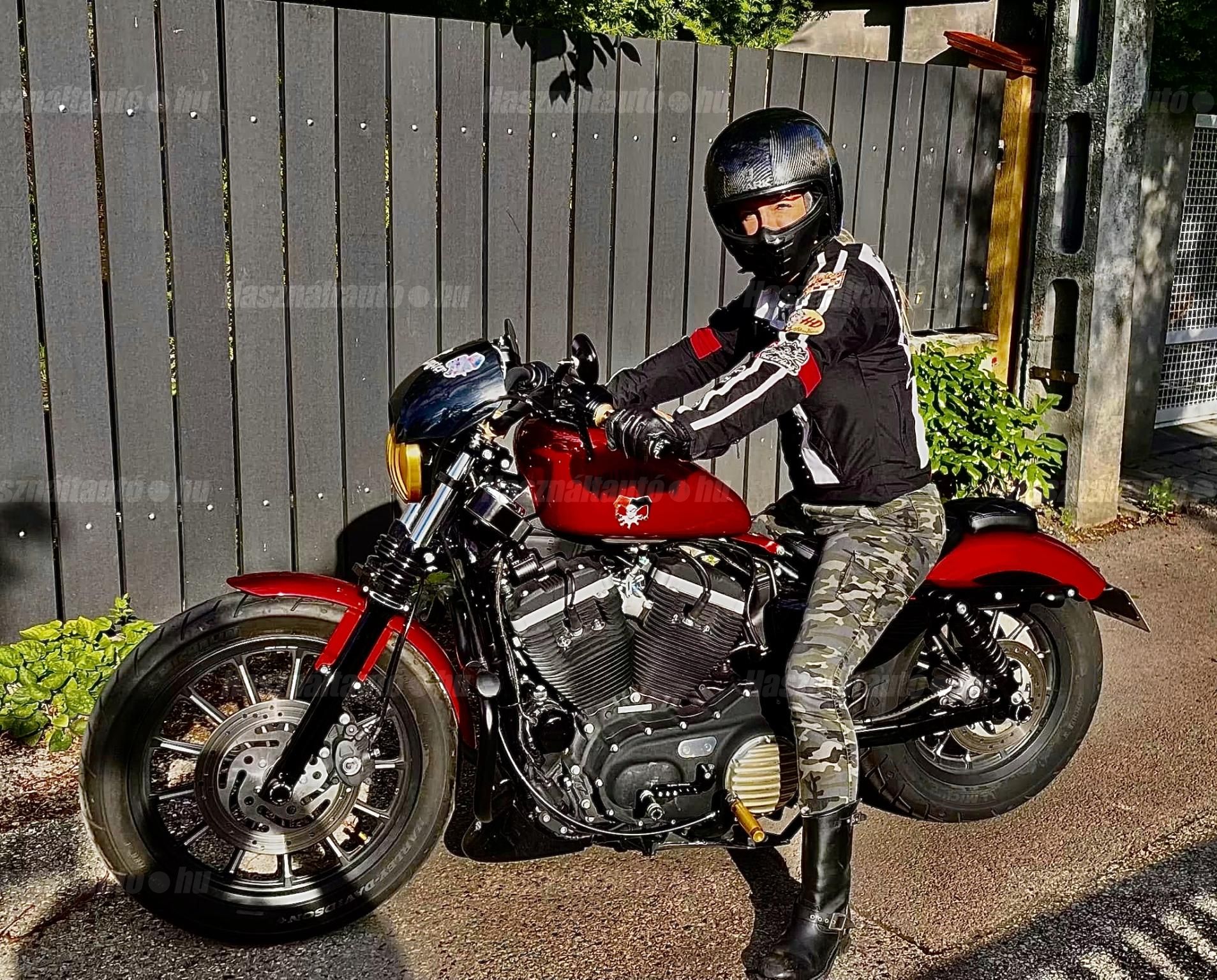 HARLEY-DAVIDSON SPORTSTER 883 IRON 2013/2 - 1