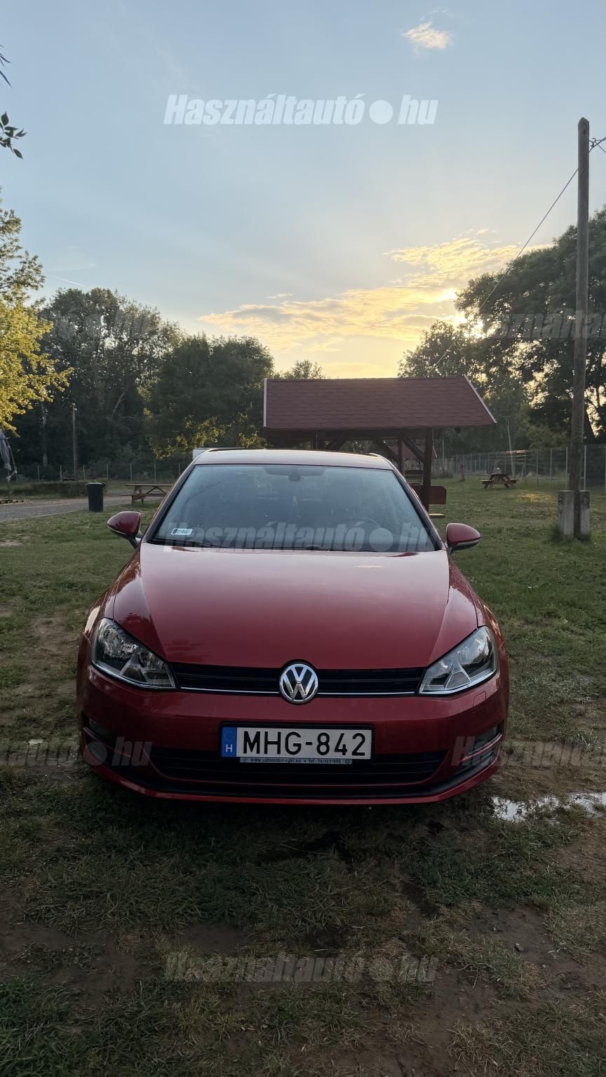 VOLKSWAGEN GOLF VII 2013/3 - 1