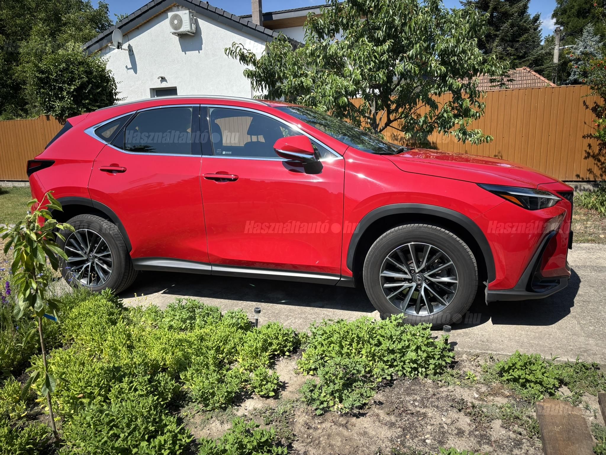 LEXUS NX 2024/3 - 1