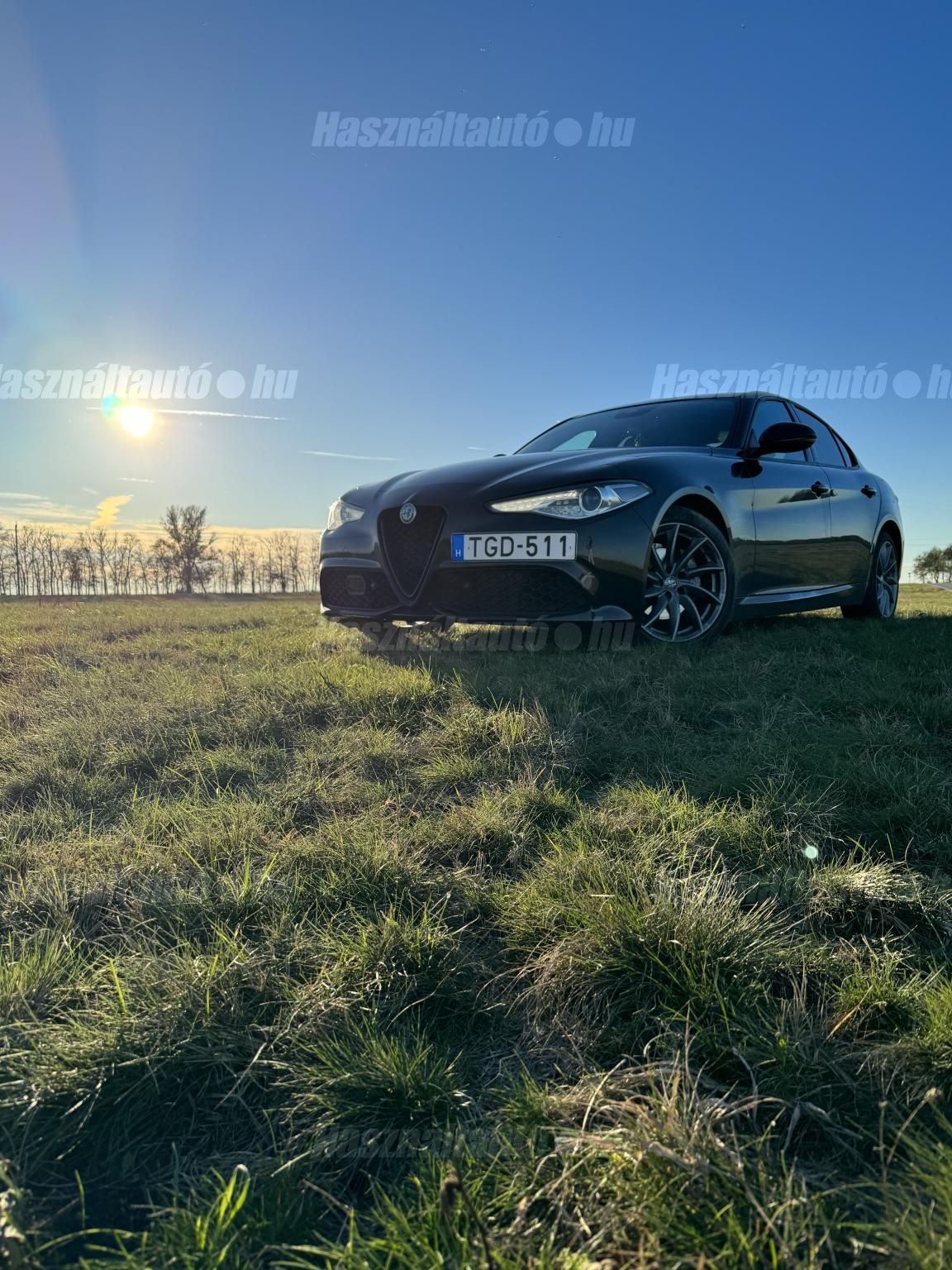 ALFA ROMEO GIULIA 2022/4 - 1