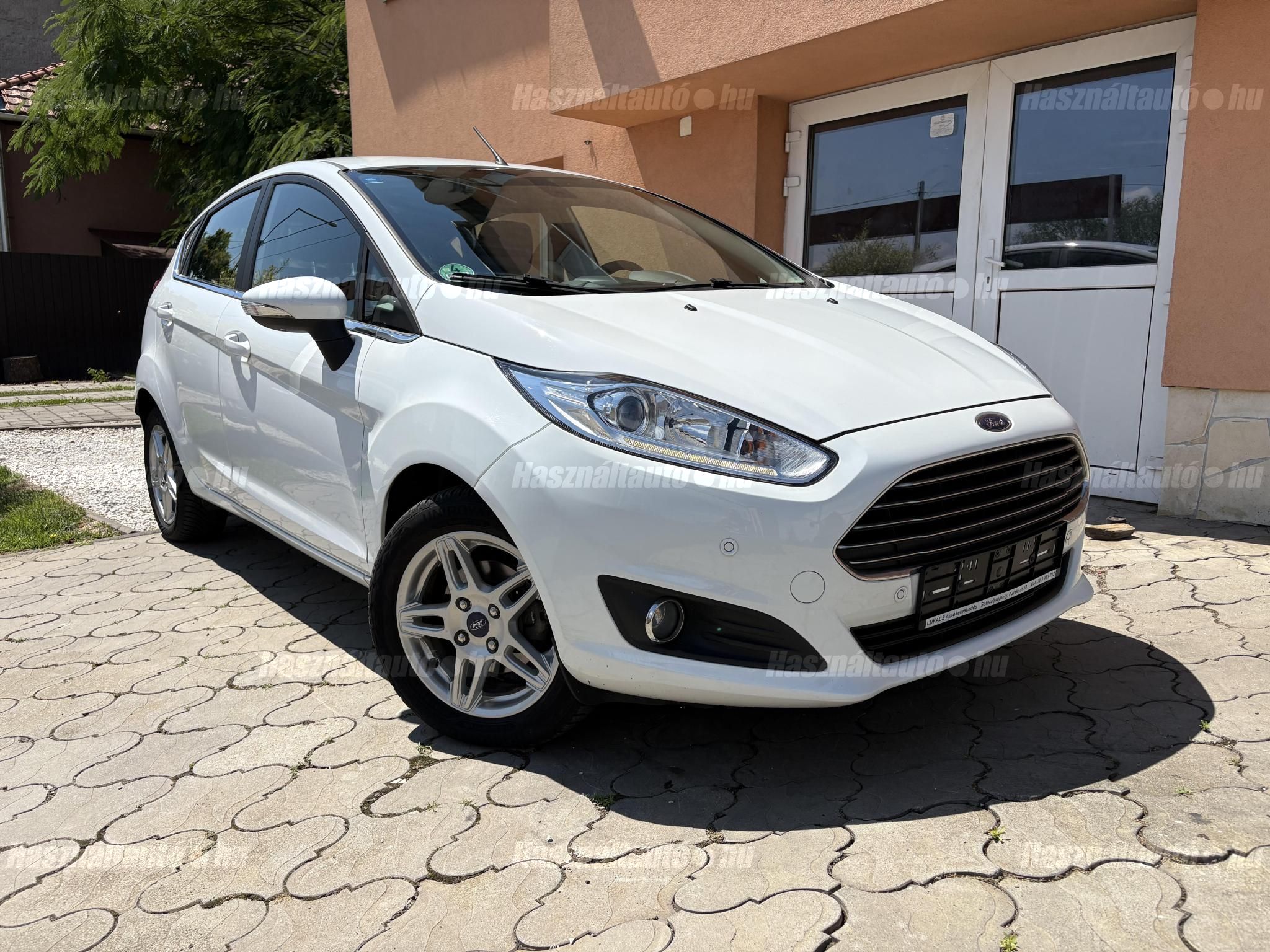 FORD FIESTA 2013/1 - 1