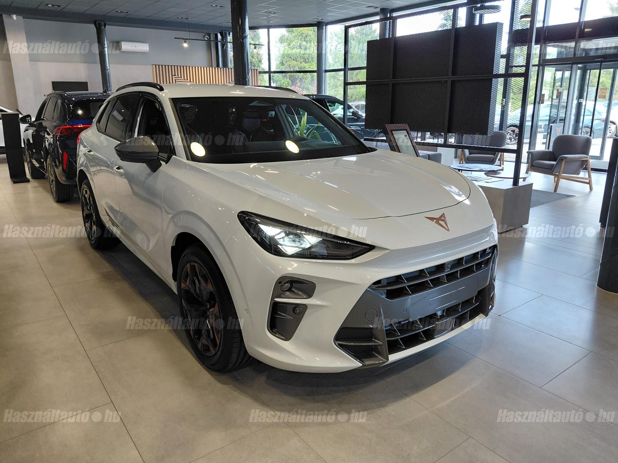 CUPRA TERRAMAR 2026/4 - 1