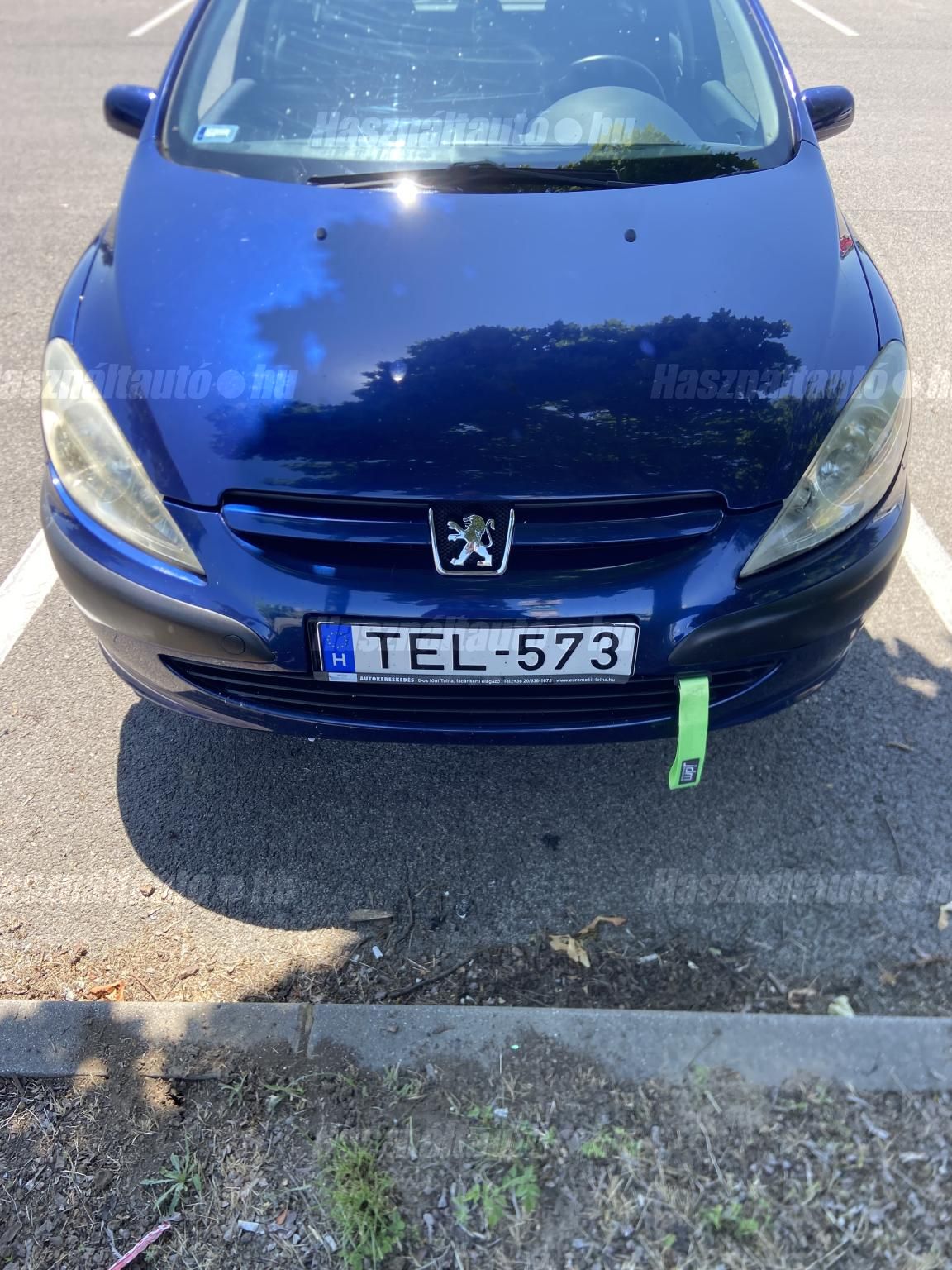 PEUGEOT 307 2004 - 1