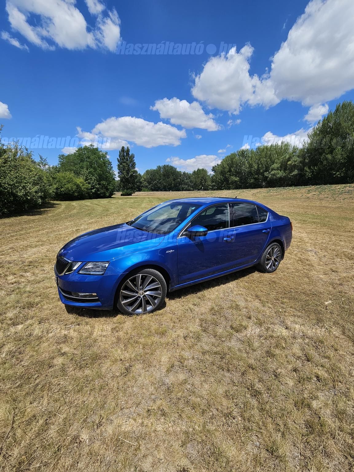 SKODA OCTAVIA 2019/12 - 1