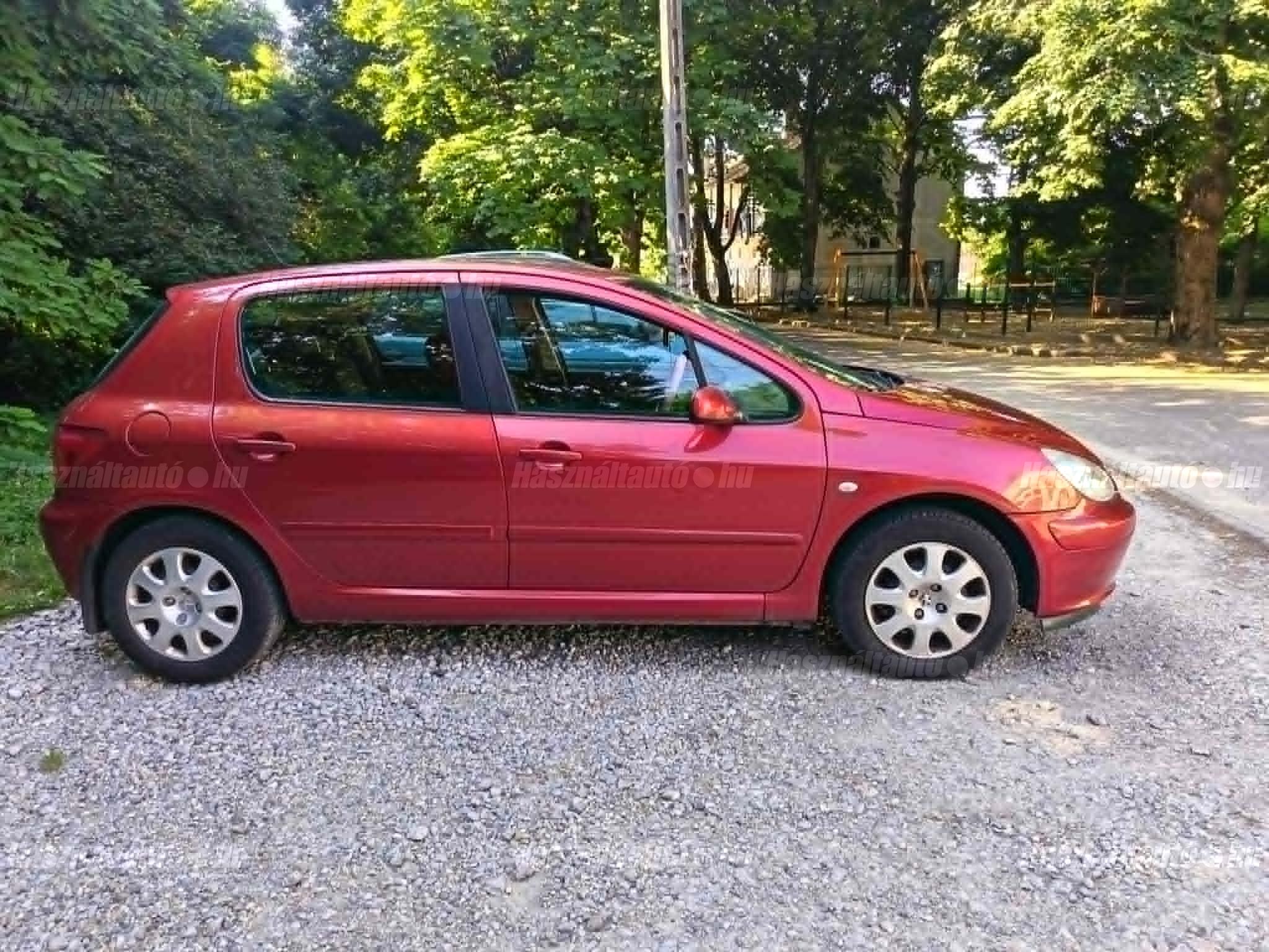 PEUGEOT 307 2004/12 - 1