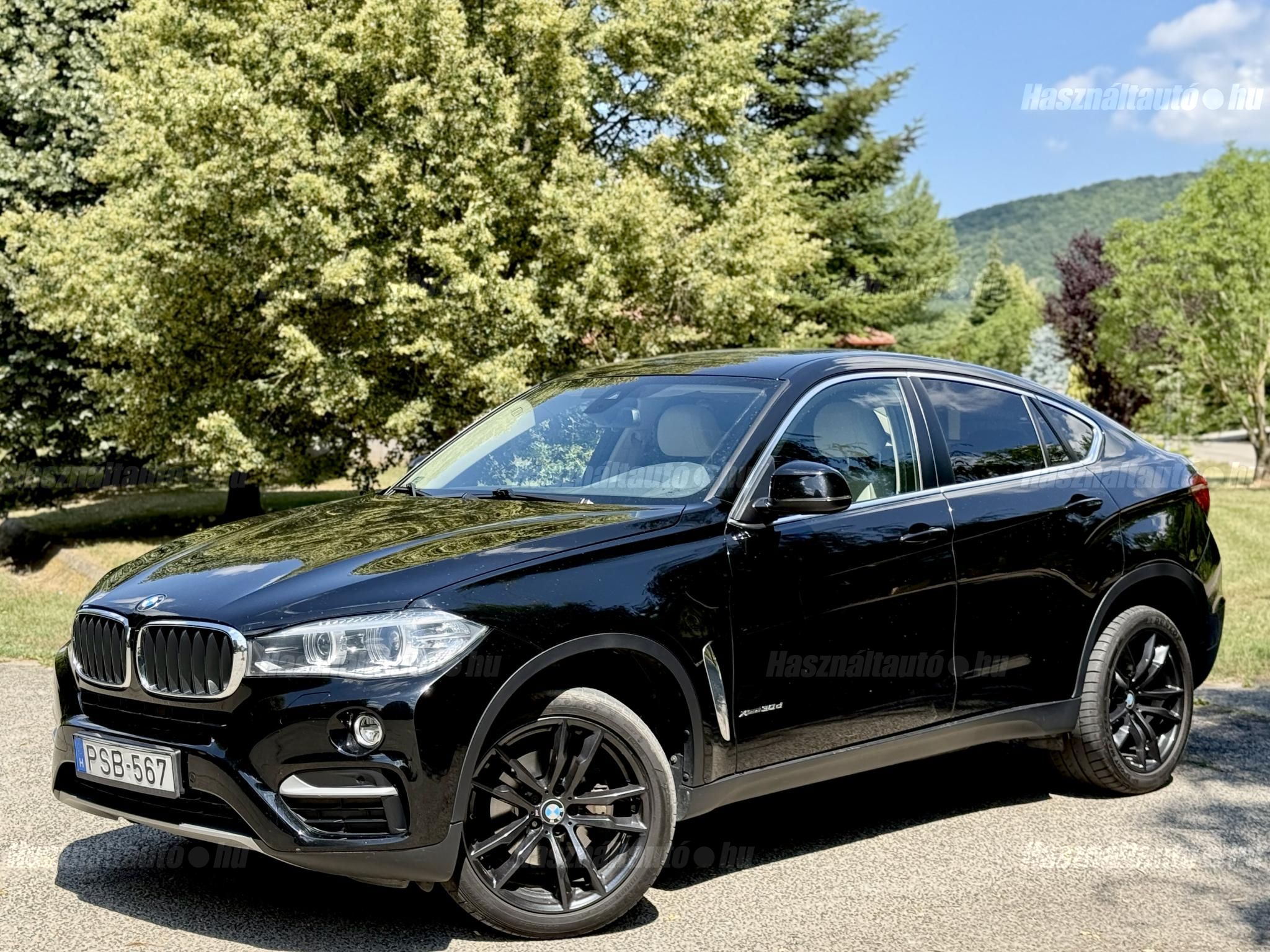 BMW X6 2018/2 - 1