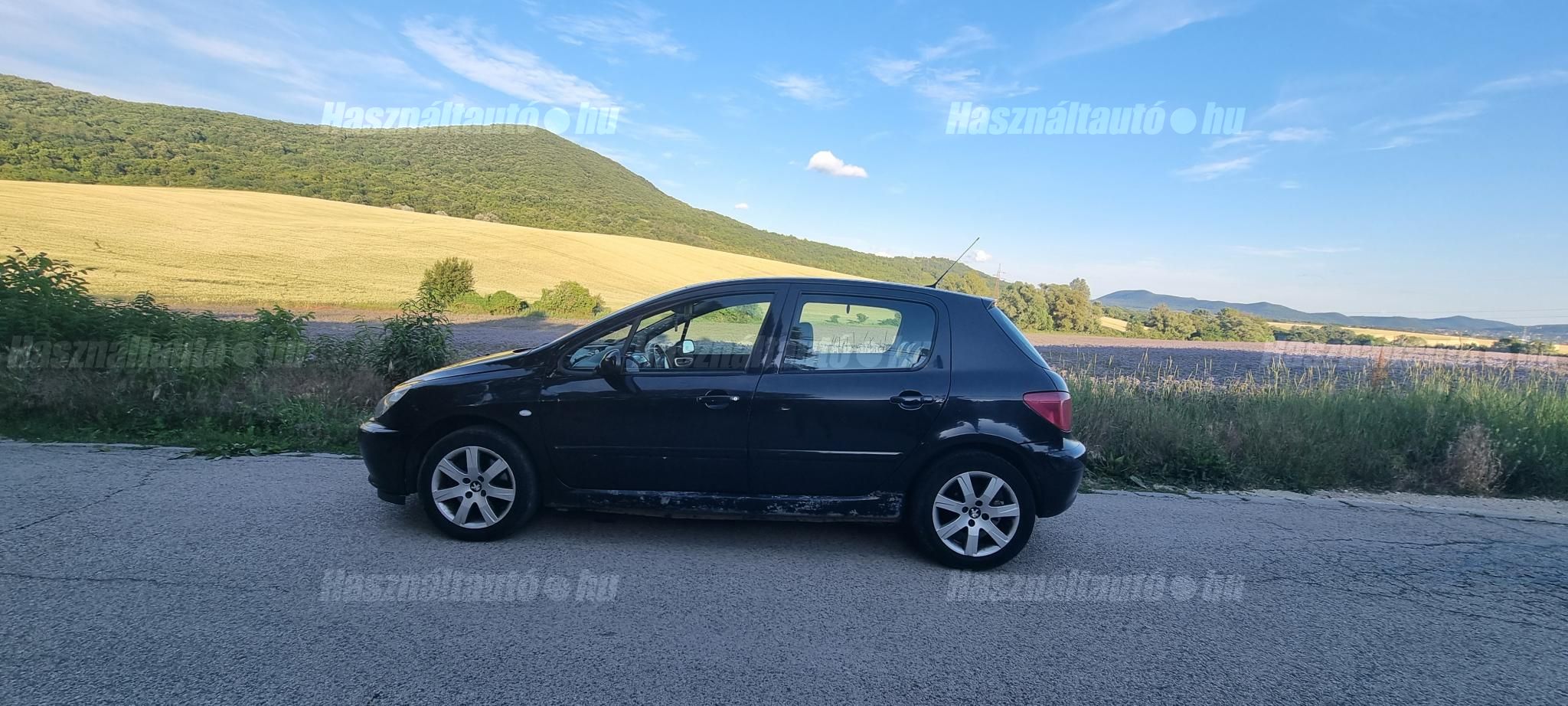 PEUGEOT 307 2004/10 - 1