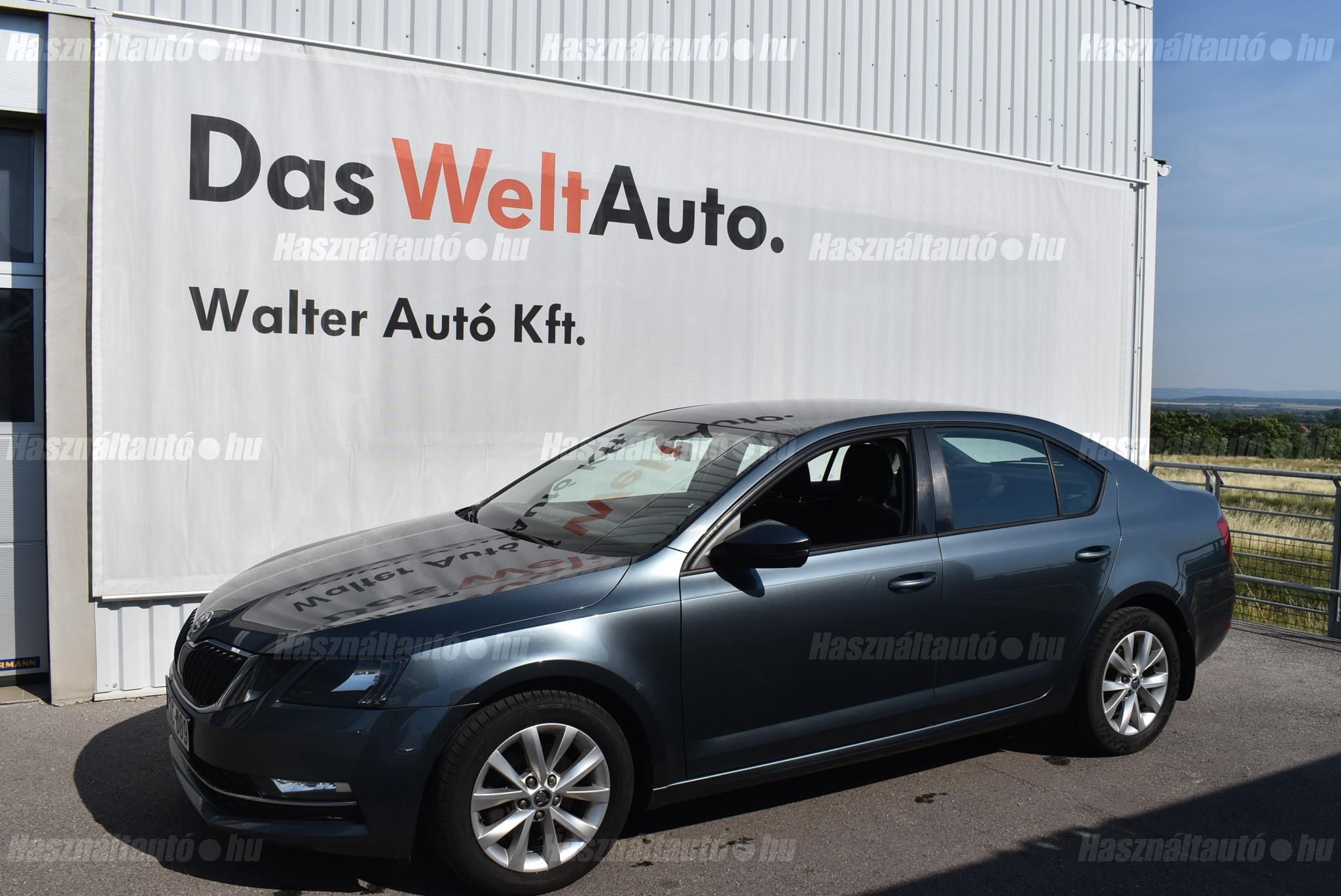 SKODA OCTAVIA 2018/5 - 1