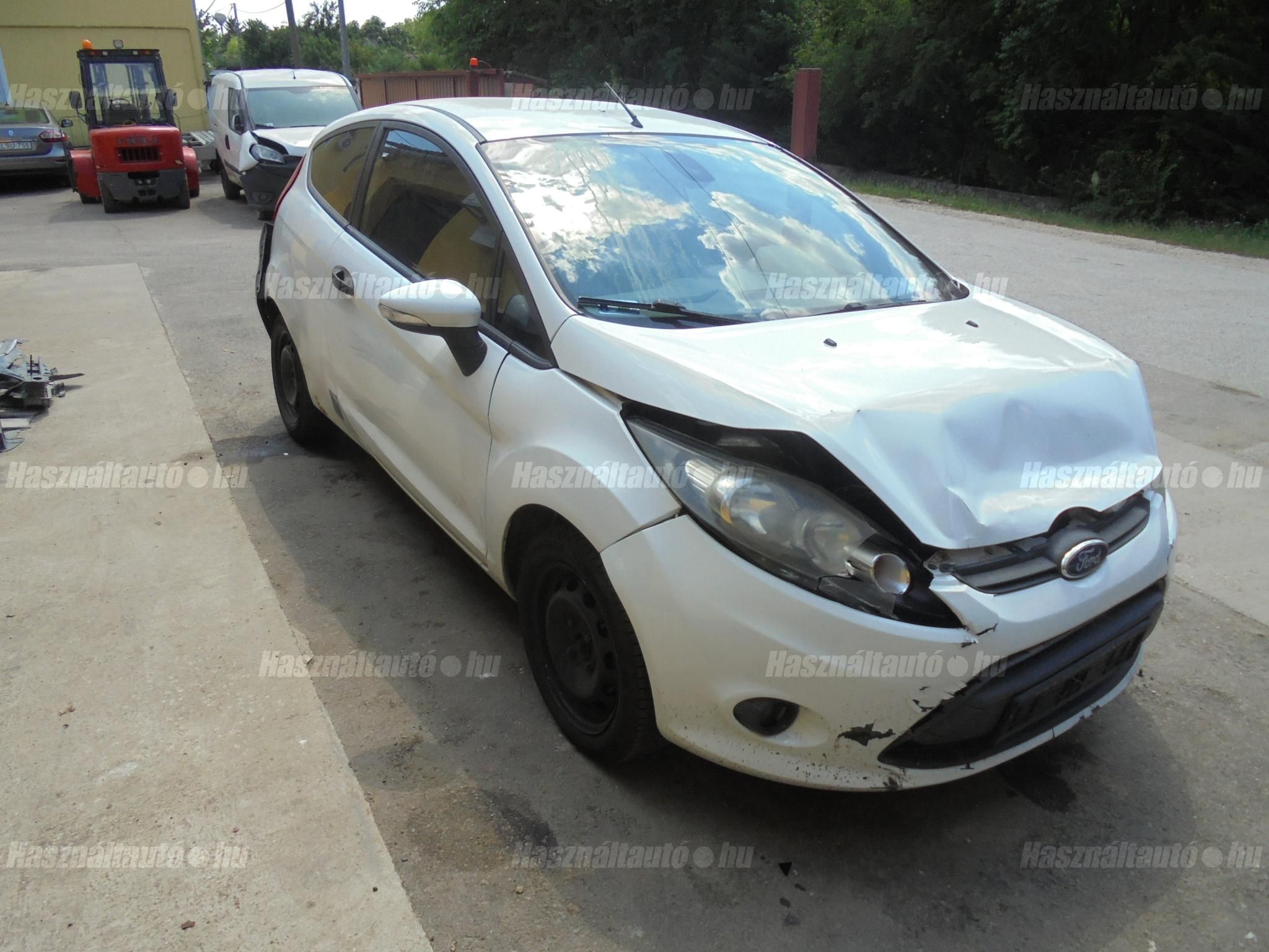 FORD FIESTA 2010 - 1
