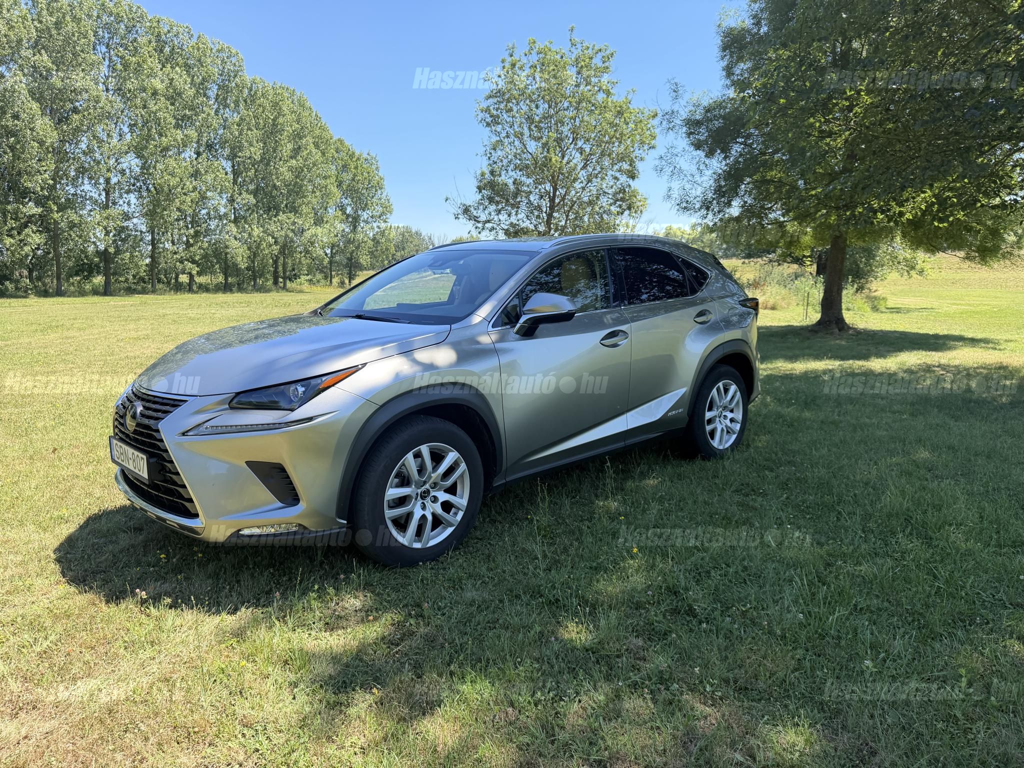 LEXUS NX 2019/12 - 1