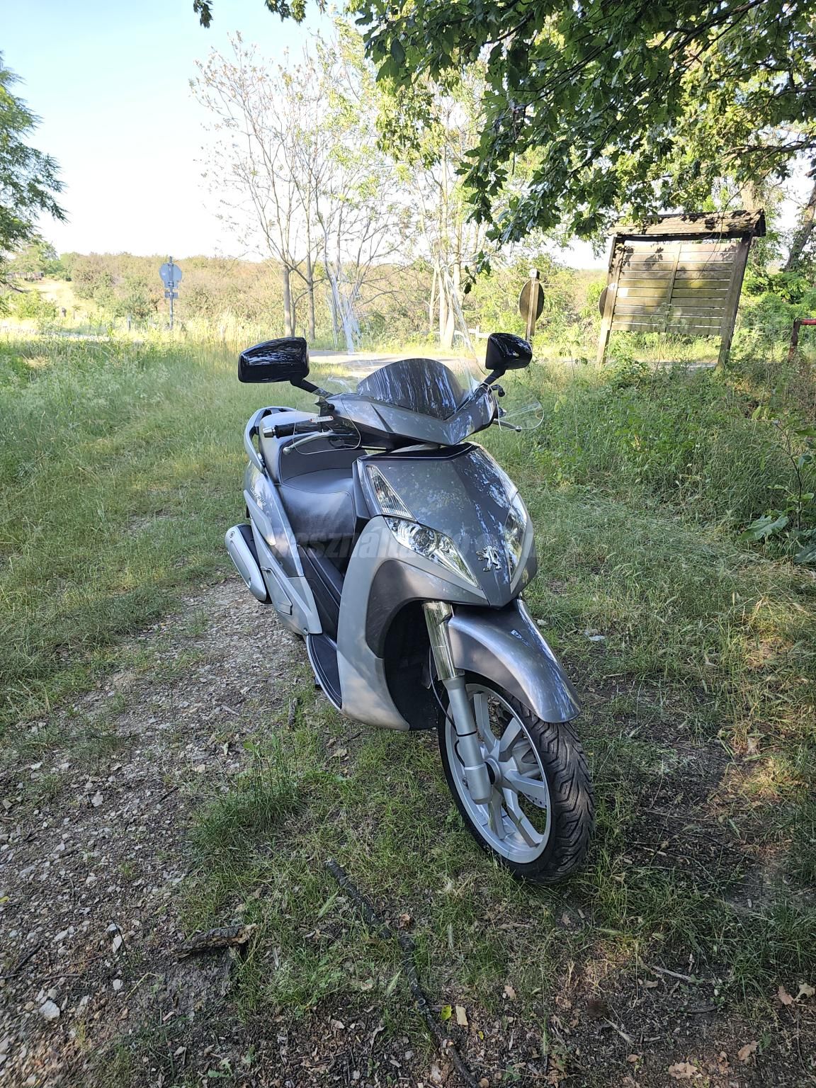 PEUGEOT GEOPOLIS 250 2006/8 - 1