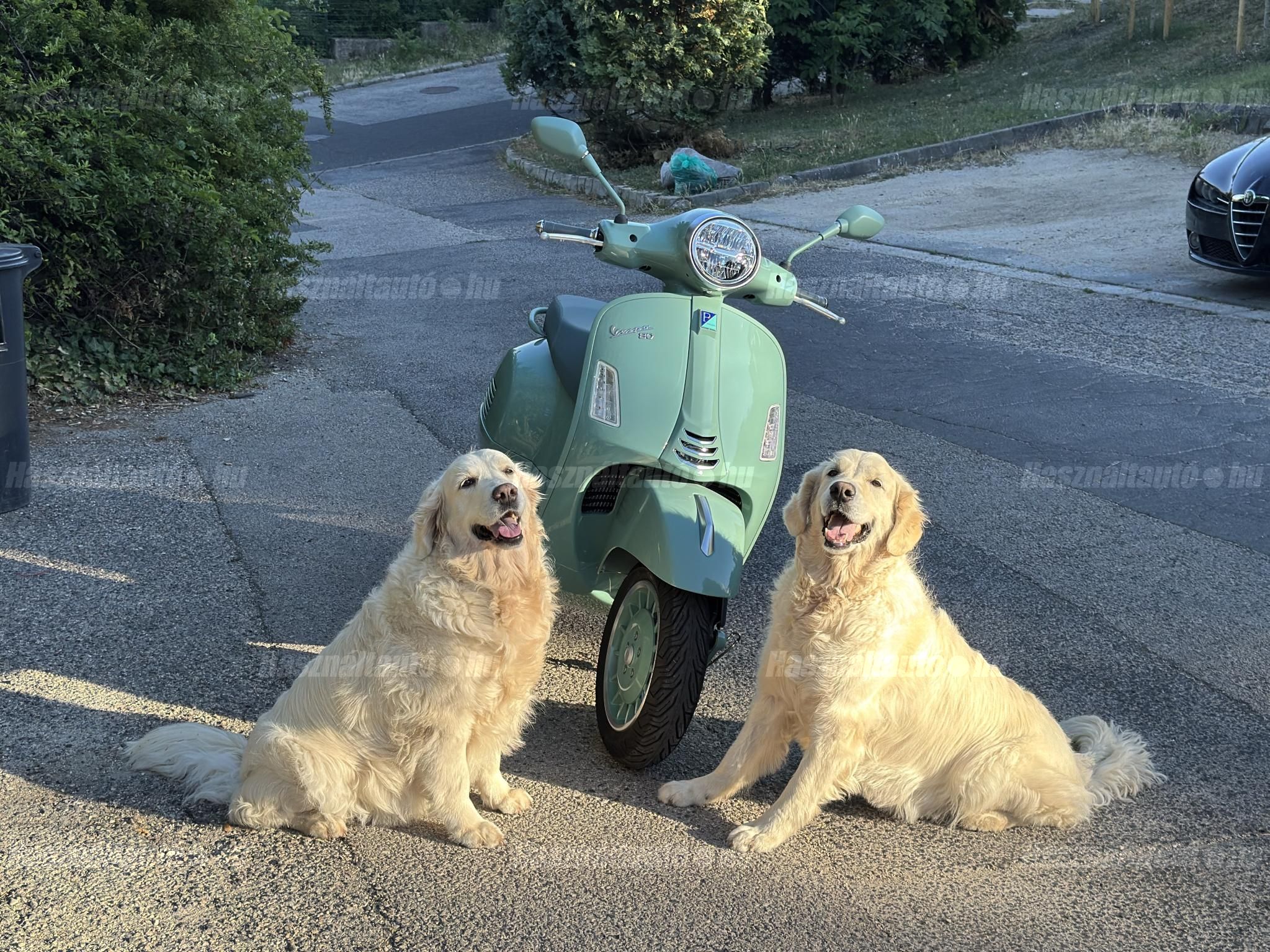VESPA GTS 2026/4 - 1