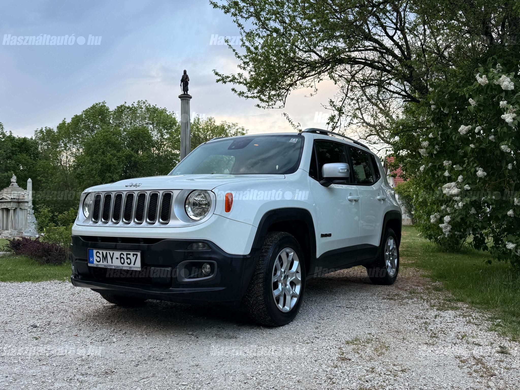 JEEP RENEGADE 2017/6 - 1