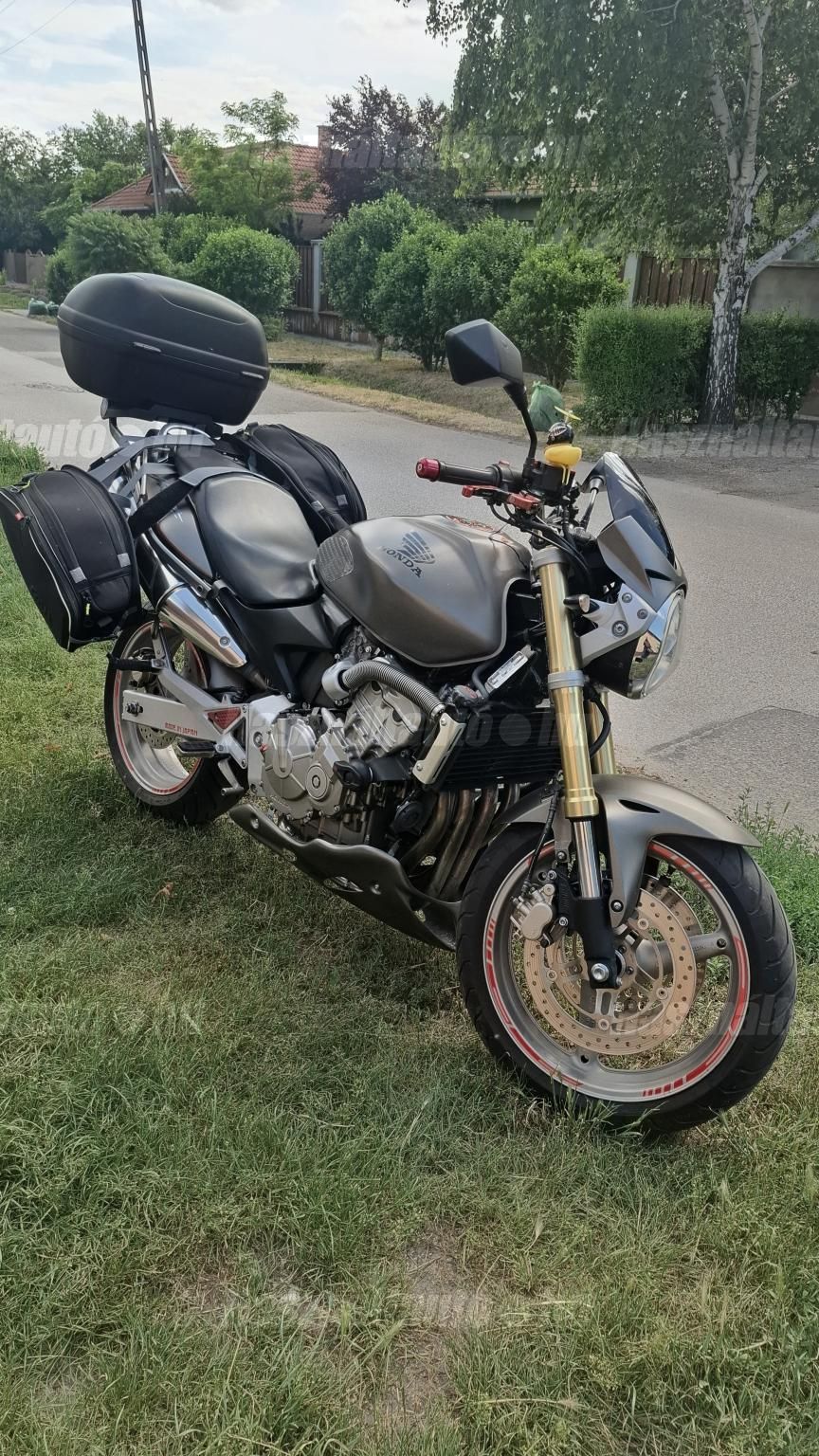 HONDA CB 600 F (HORNET) 2006/4 - 1