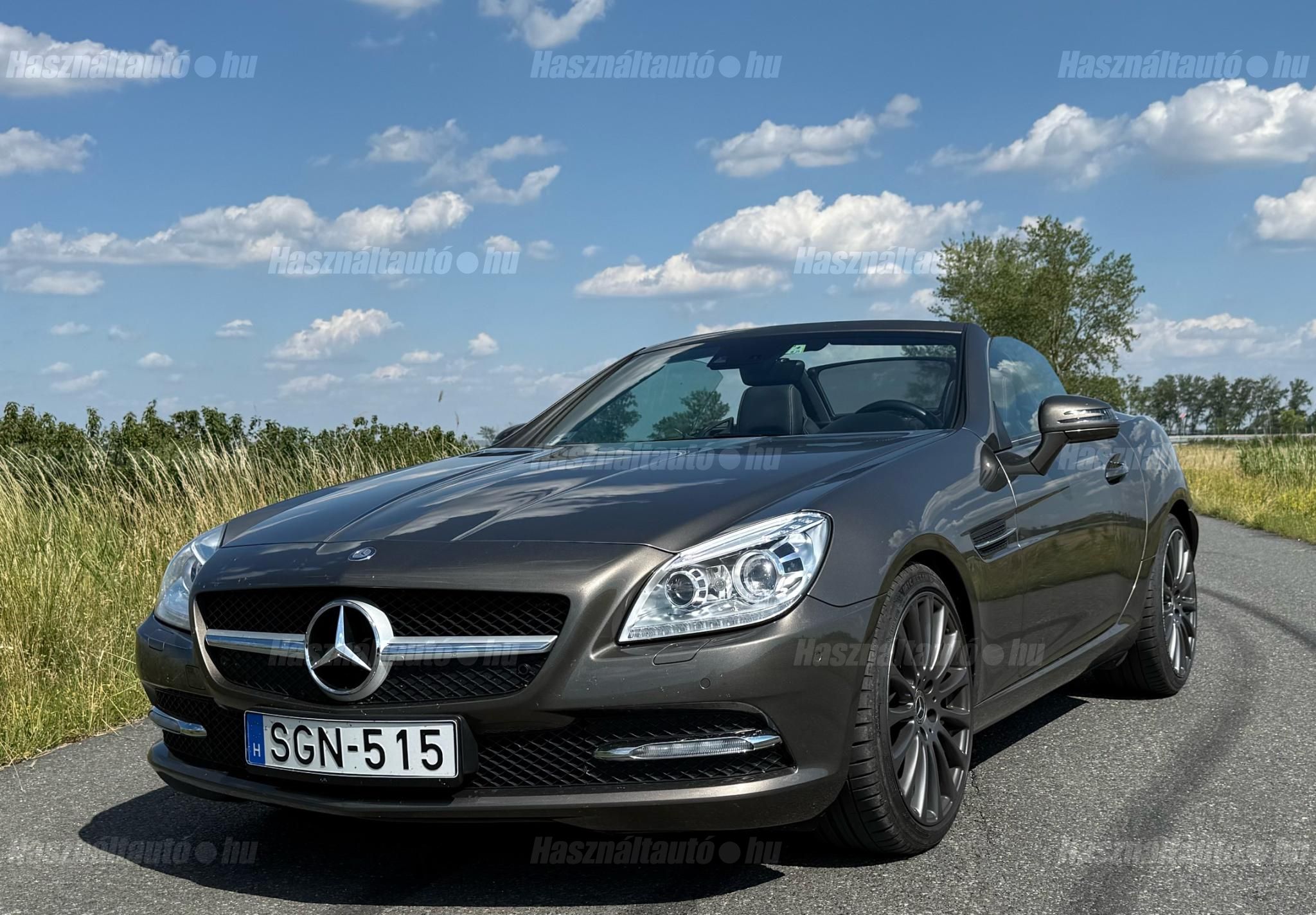 MERCEDES-BENZ SLK 350 2011/6 - 1