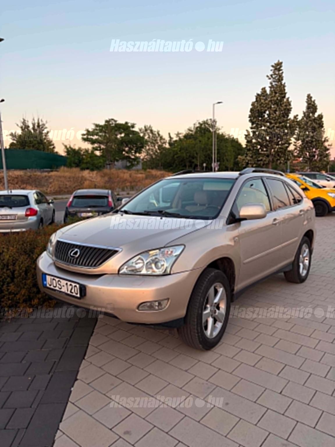 LEXUS RX 2004/5 - 1